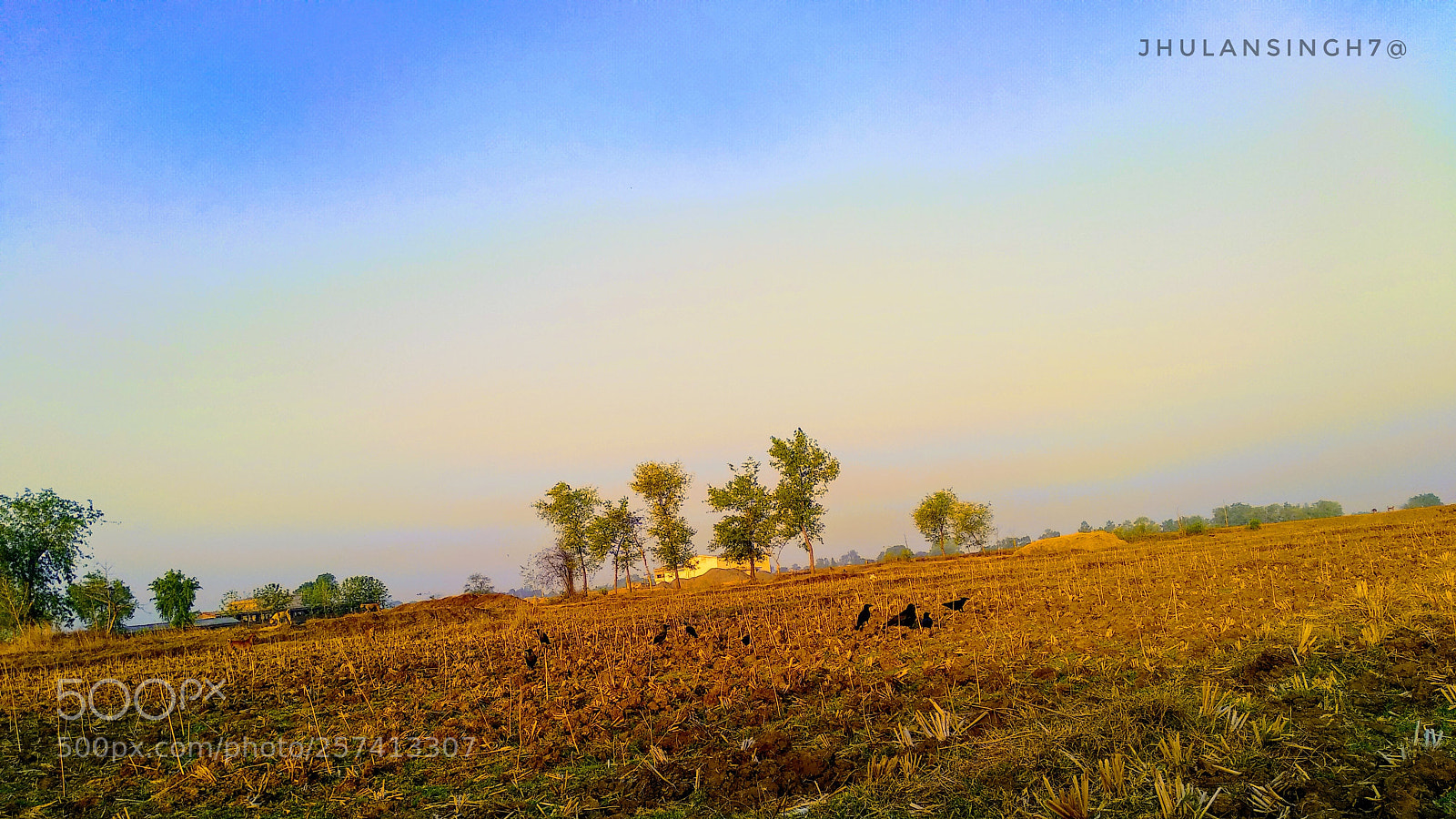 Xiaomi Mi A1 sample photo. Untitled photography