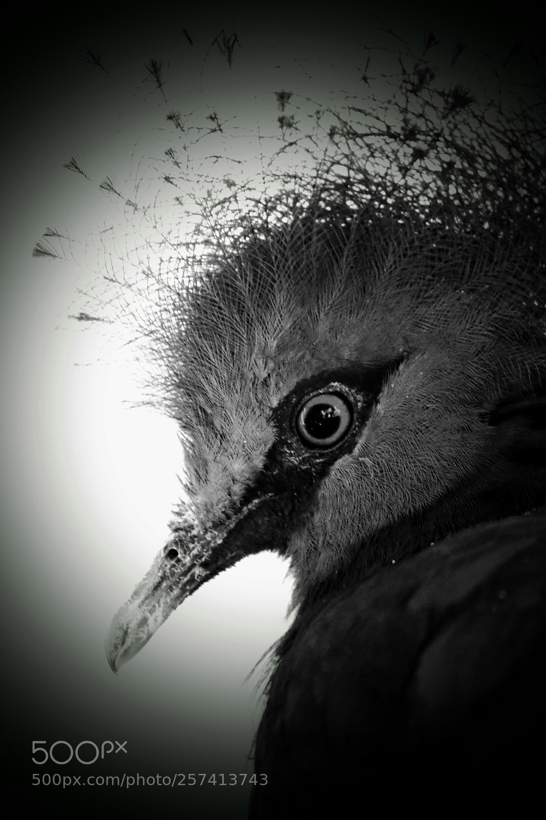 Canon EOS 7D Mark II sample photo. Untitled photography