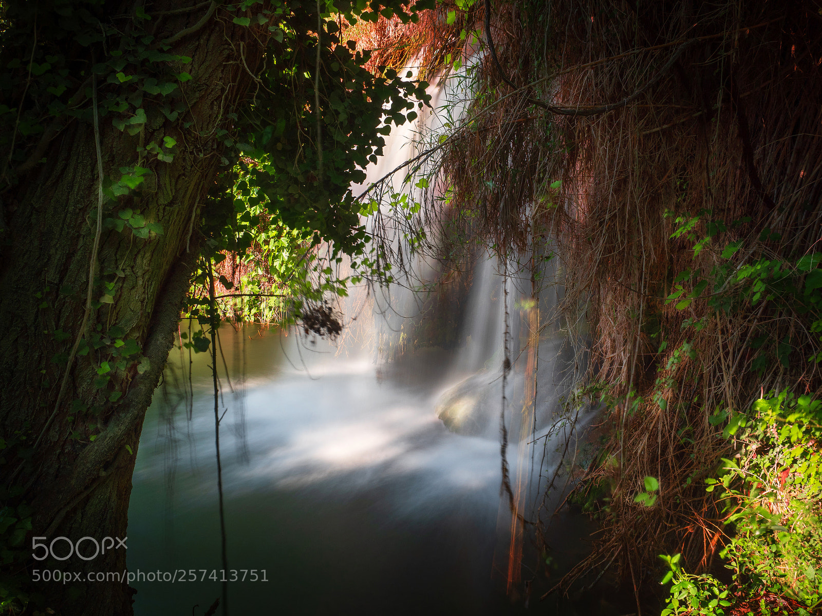 Olympus OM-D E-M1 Mark II sample photo. La cueva de las photography
