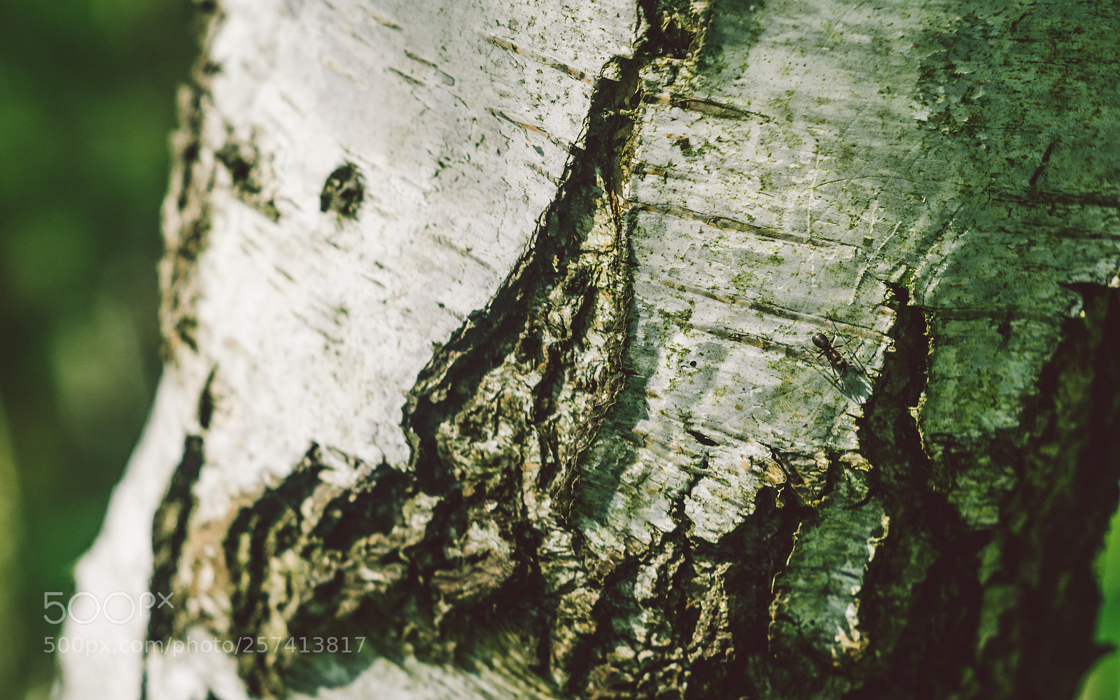 Nikon D7000 sample photo. Froggatt woods, padley gorge photography