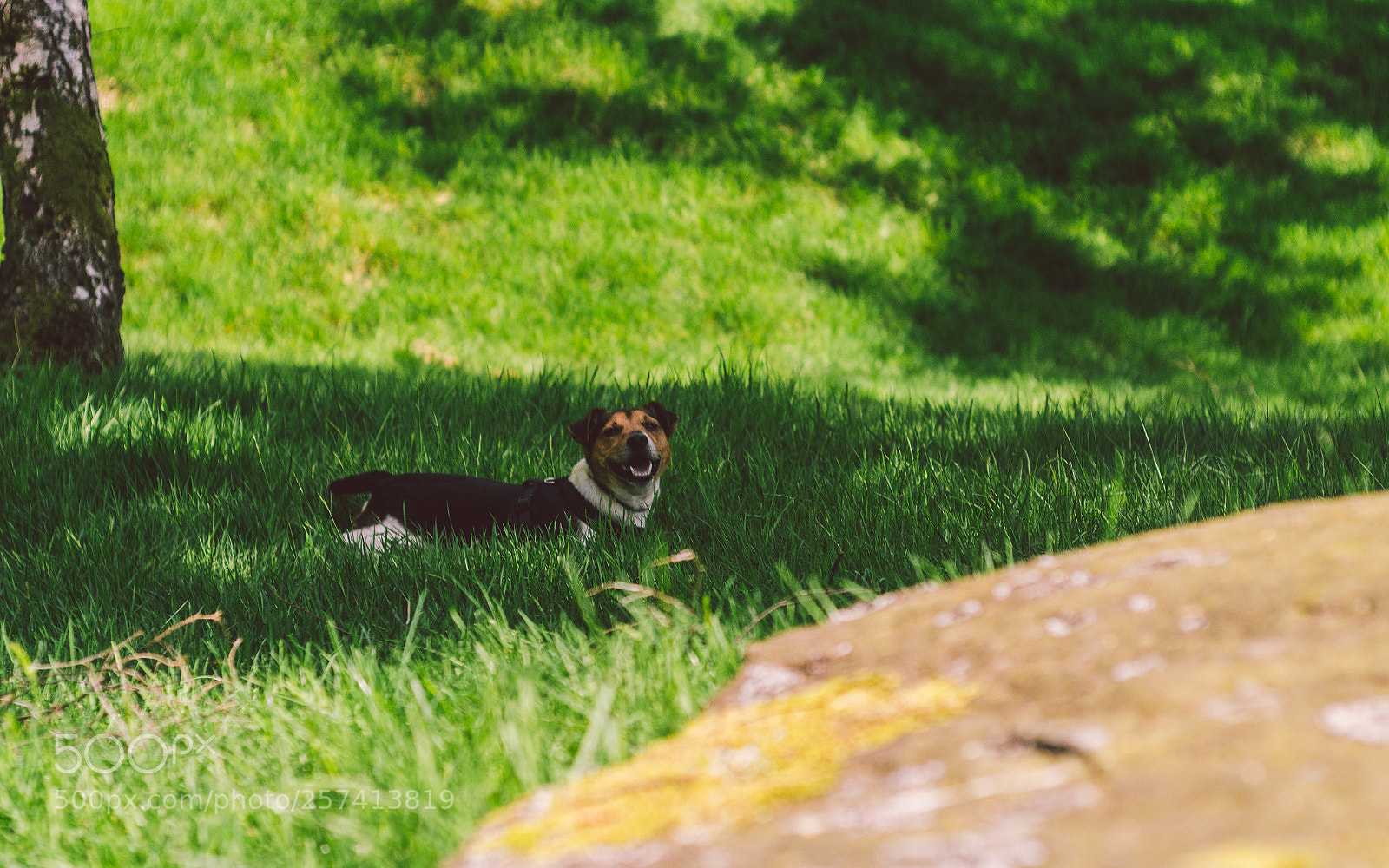 Nikon D7000 sample photo. Froggatt woods, padley gorge photography