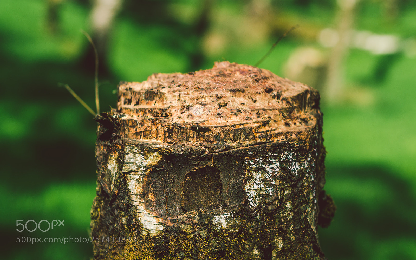 Nikon D7000 sample photo. Froggatt woods, padley gorge photography
