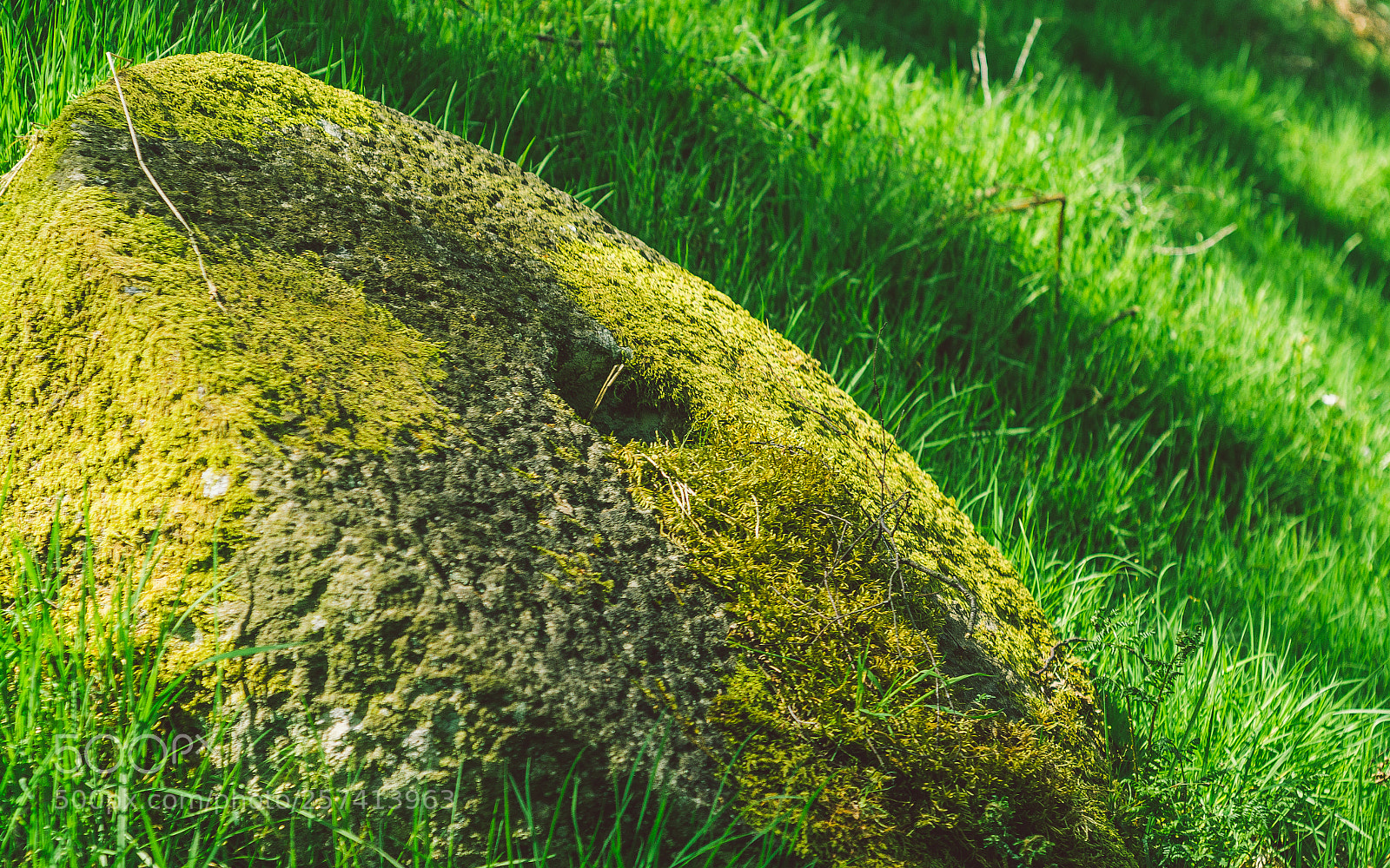 Nikon D7000 sample photo. Froggatt woods, padley gorge photography