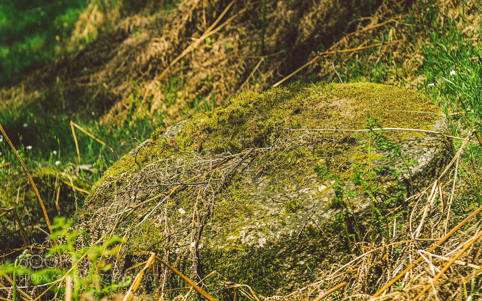 Nikon D7000 sample photo. Froggatt woods, padley gorge photography