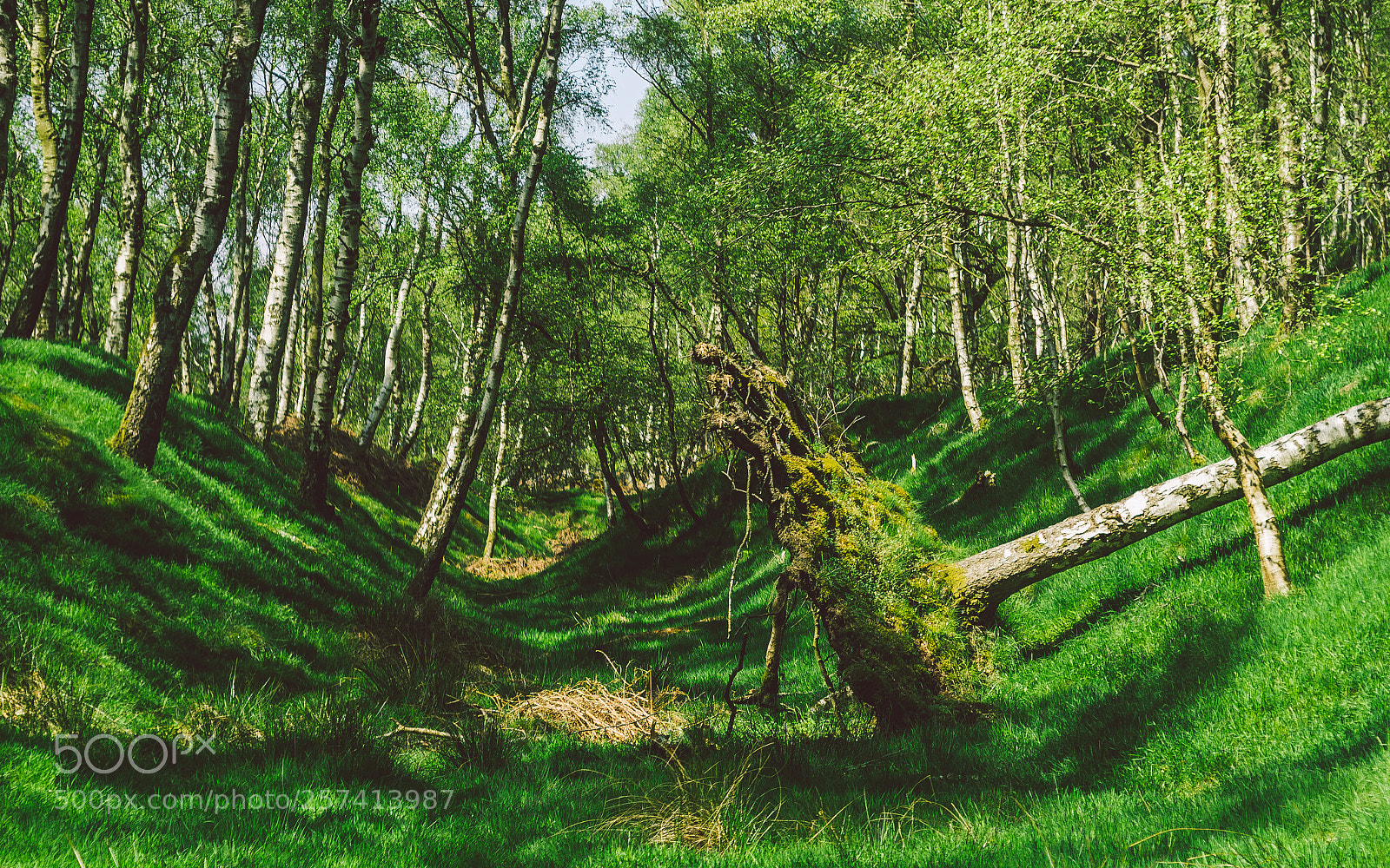 Nikon D7000 sample photo. Froggatt woods, padley gorge photography
