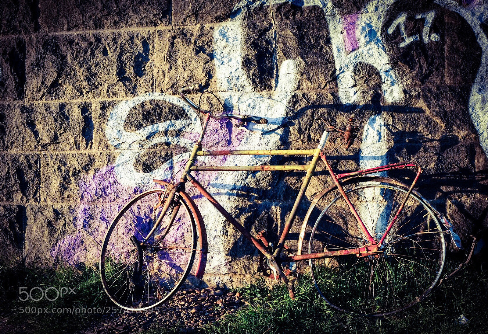Fujifilm X-T20 sample photo. Untitled photography