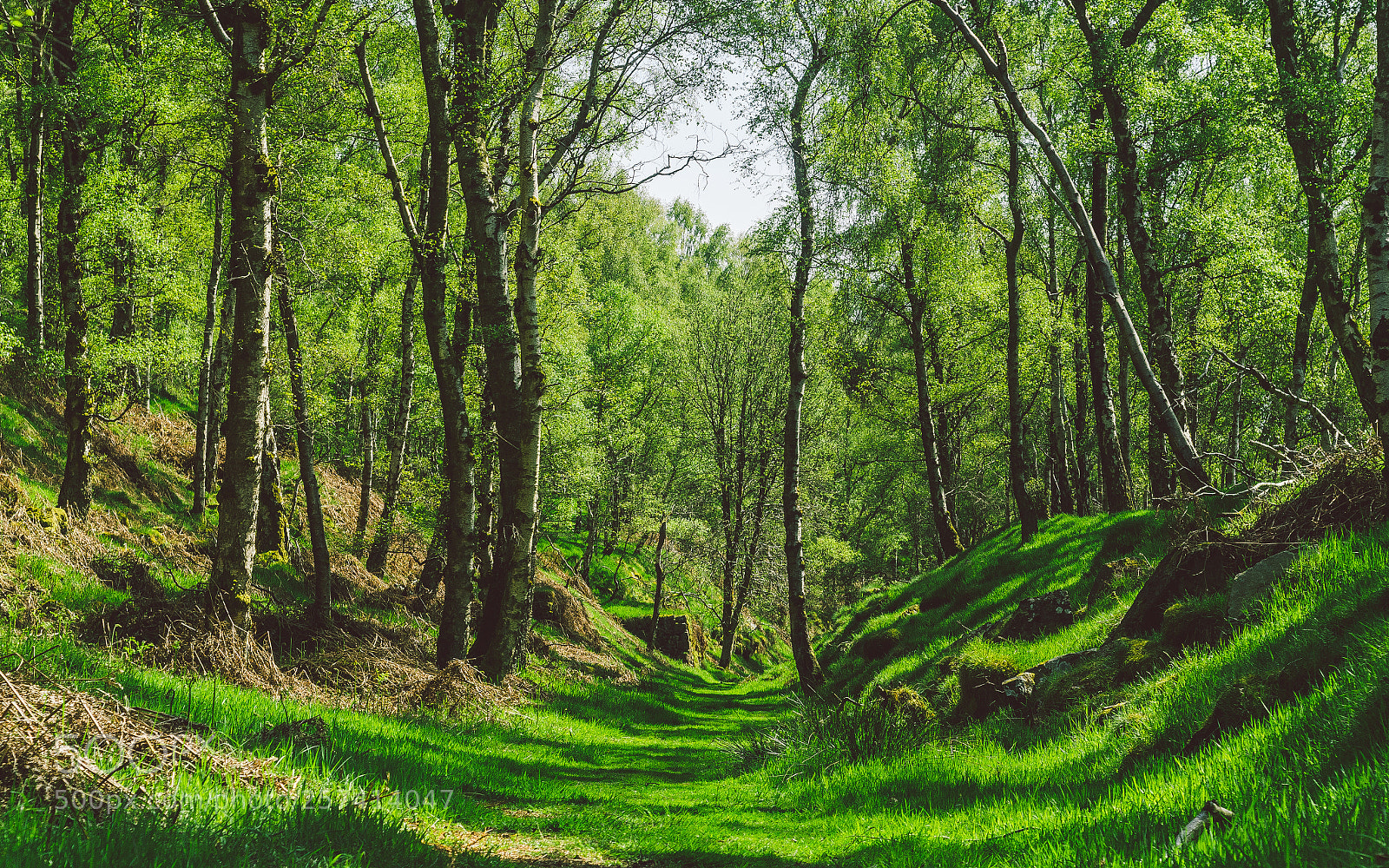 Nikon D7000 sample photo. Froggatt woods, padley gorge photography