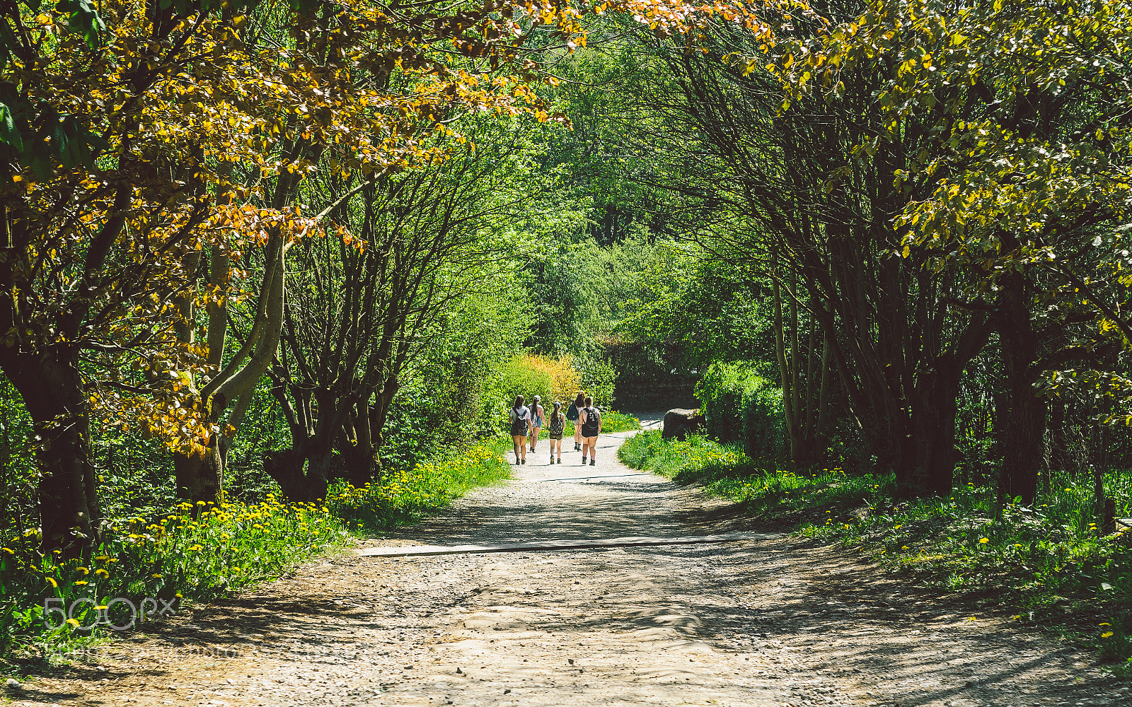 Nikon D7000 sample photo. Froggatt woods, padley gorge photography