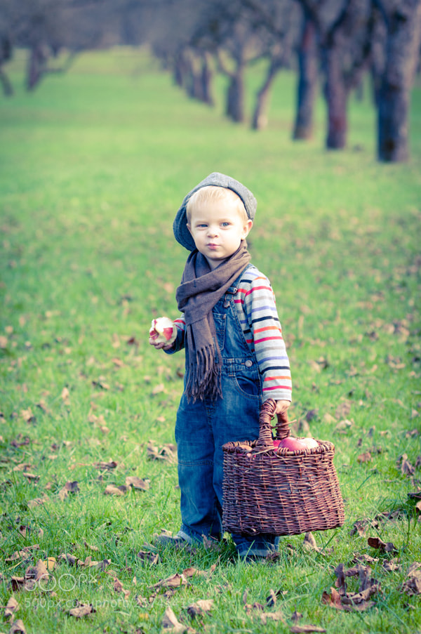 Nikon D300S sample photo. Untitled photography