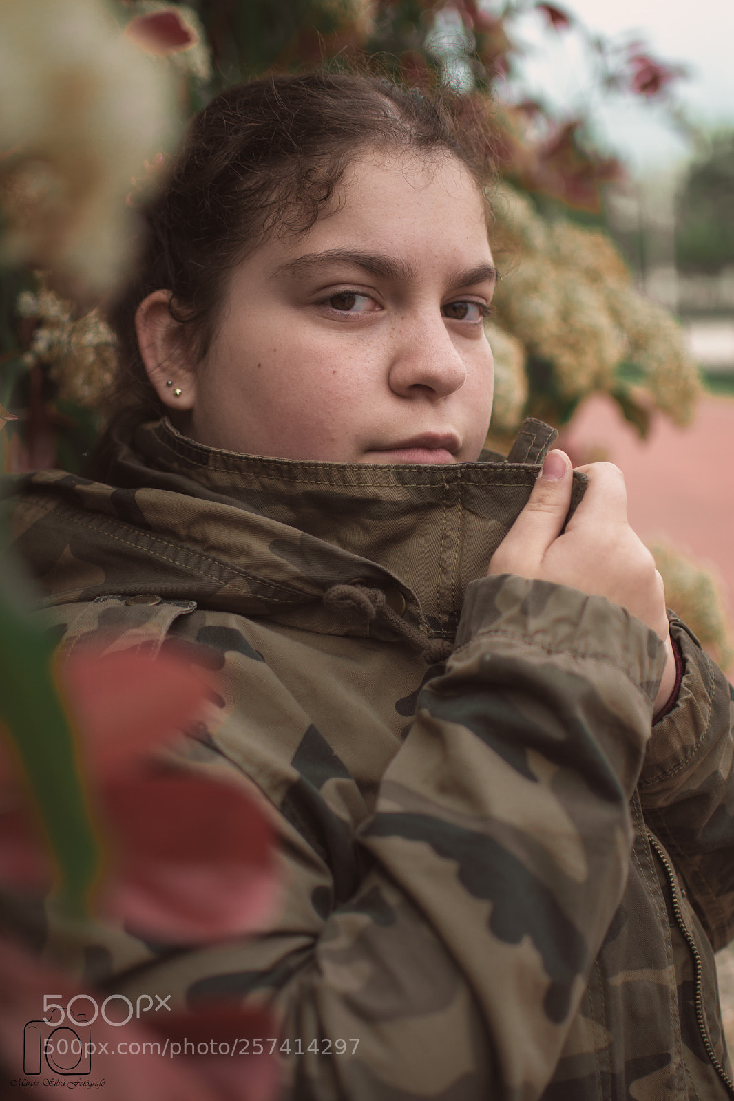 Nikon D500 sample photo. Untitled photography