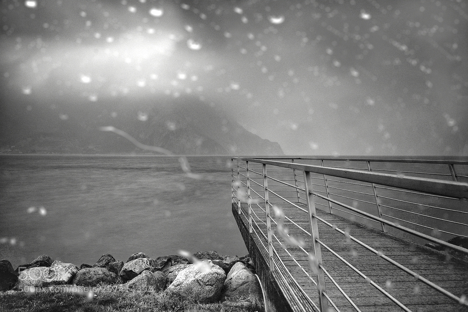 Nikon D750 sample photo. Rain photography