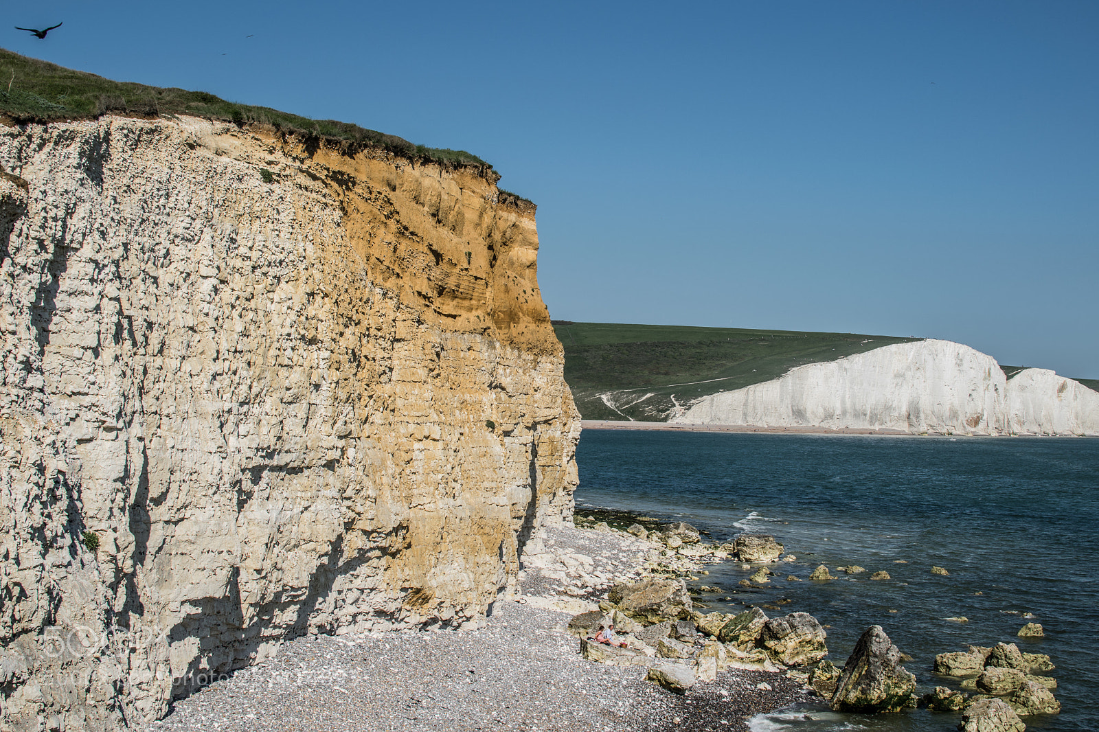 Nikon D3300 sample photo. Sheer excitement photography