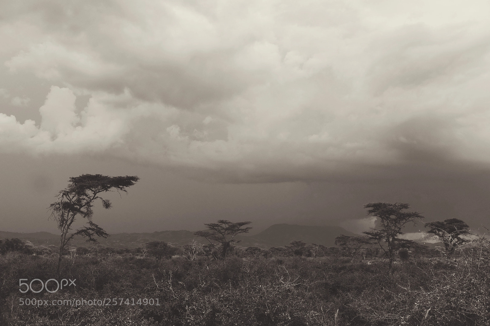 Fujifilm X-T2 sample photo. Queen elizabeth national park photography