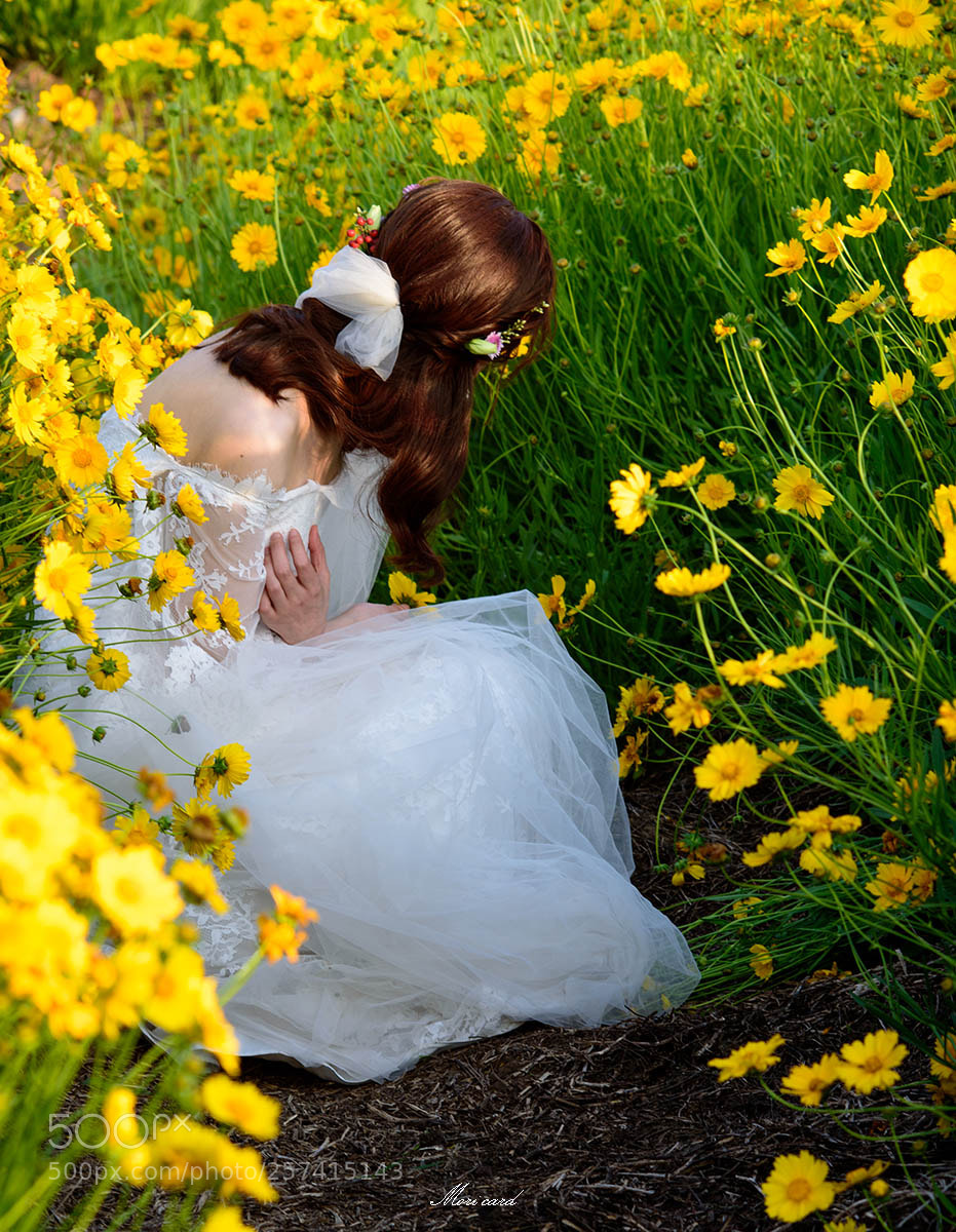 Nikon D750 sample photo. 14.jpg photography