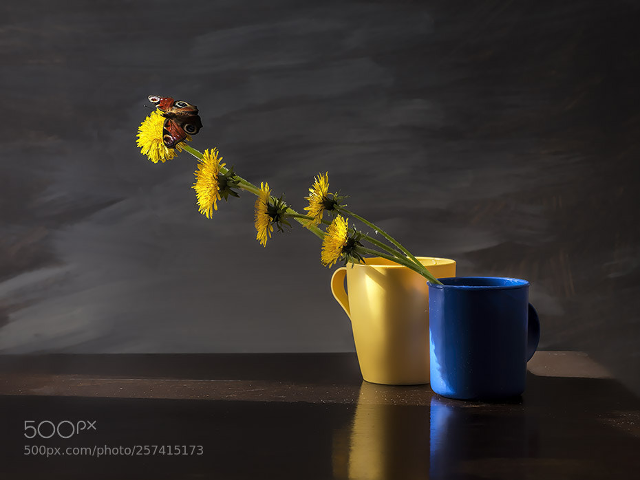 Canon EOS 5D Mark II sample photo. With butterfly photography