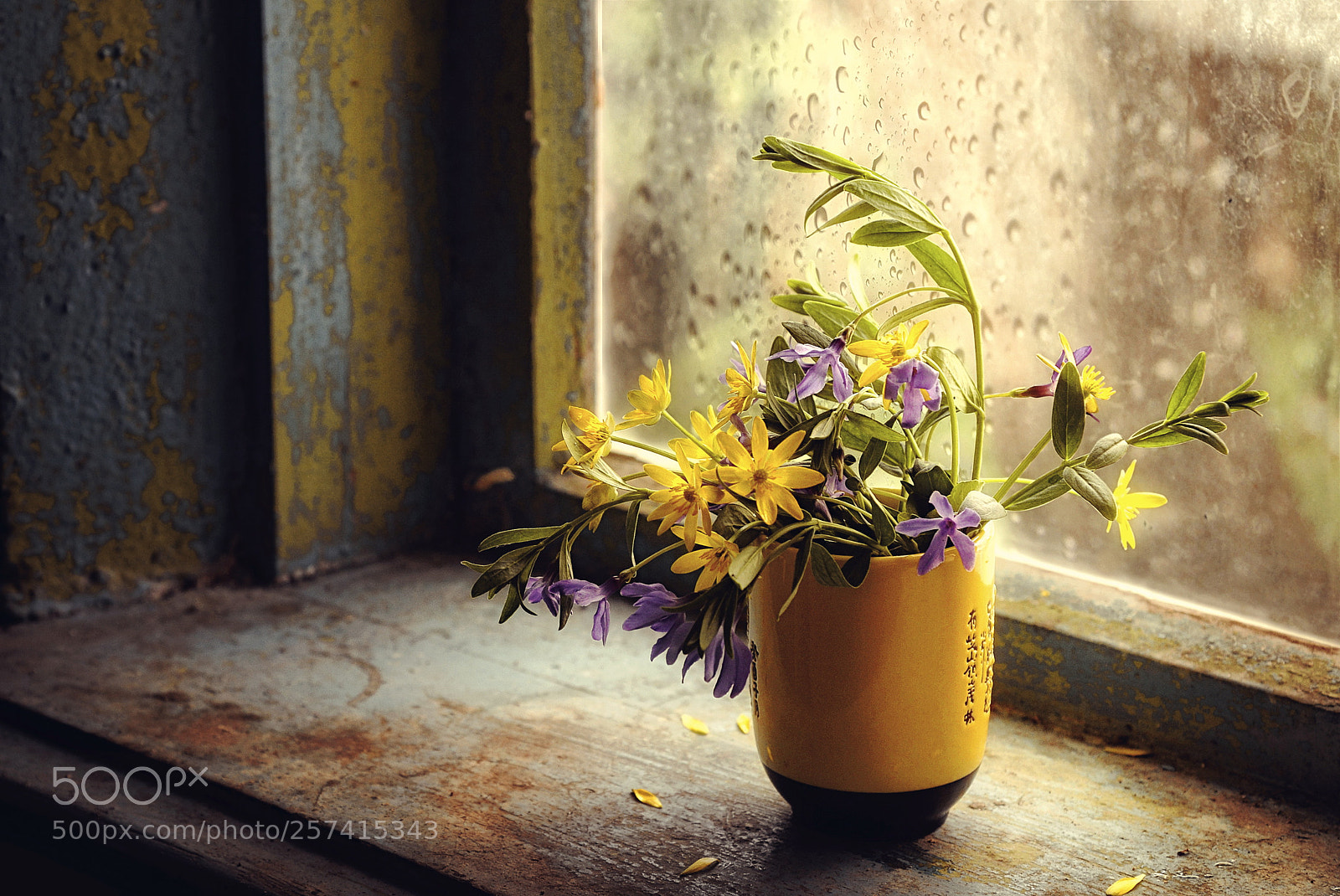 Nikon D610 sample photo. Flowers on the old photography
