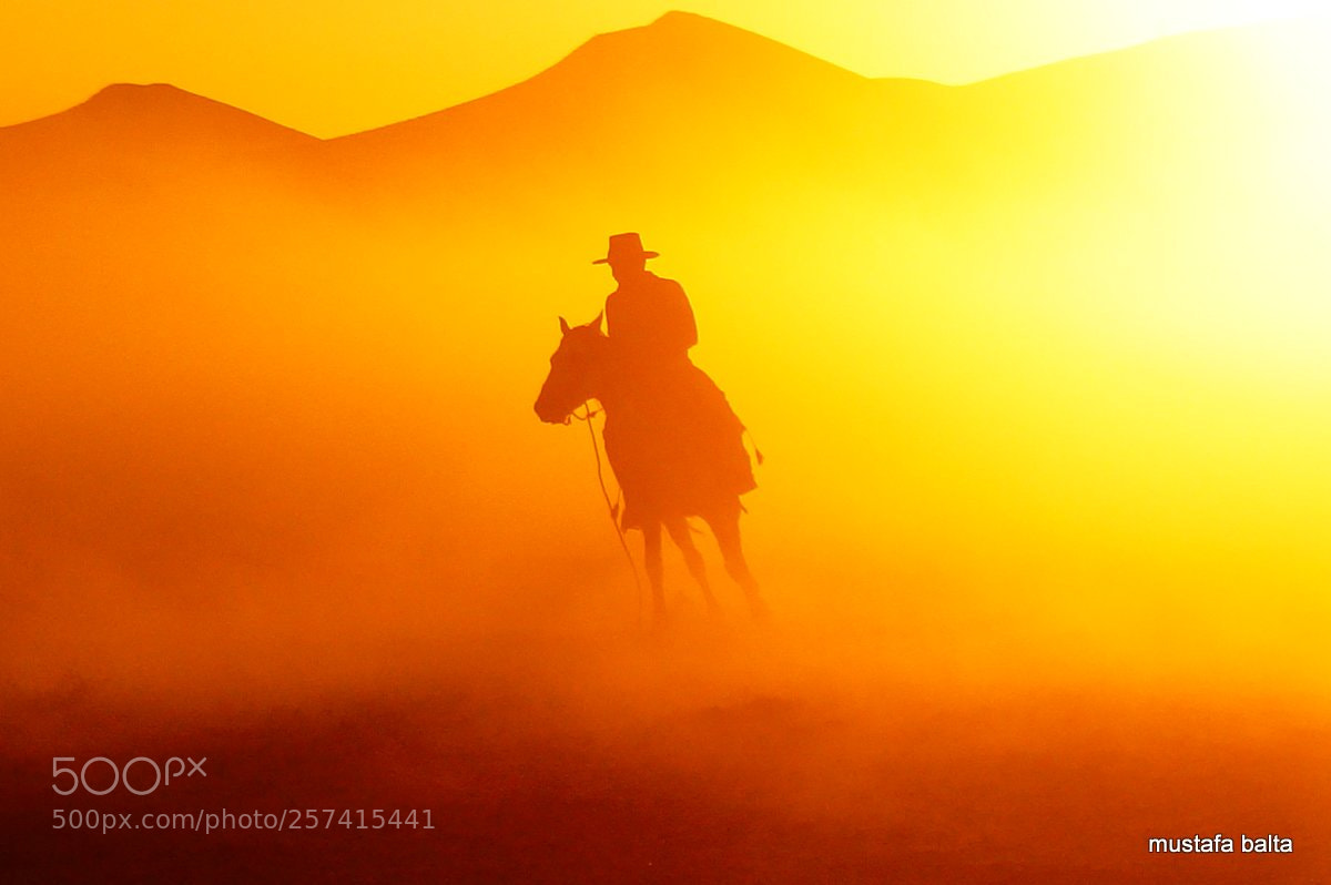 Sony Alpha NEX-6 sample photo. Minicix life " alone cowboy" photography