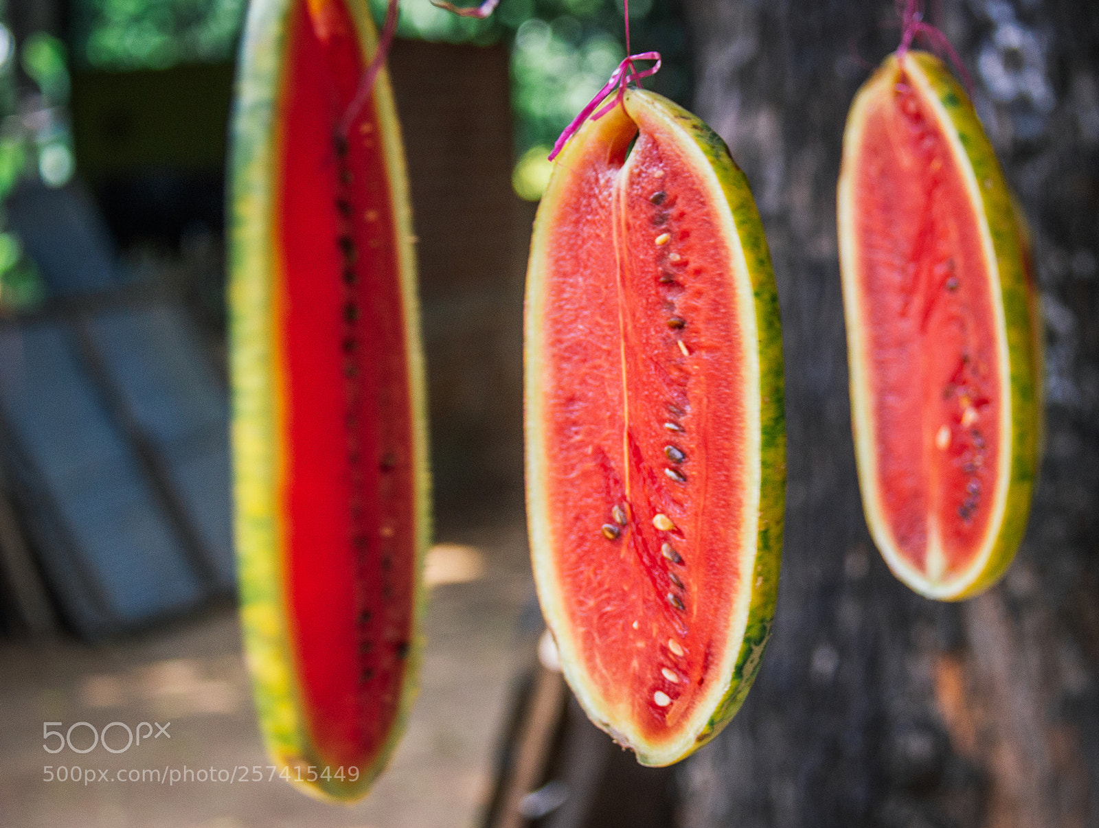 Canon EOS 600D (Rebel EOS T3i / EOS Kiss X5) sample photo. The sacrificial slice photography