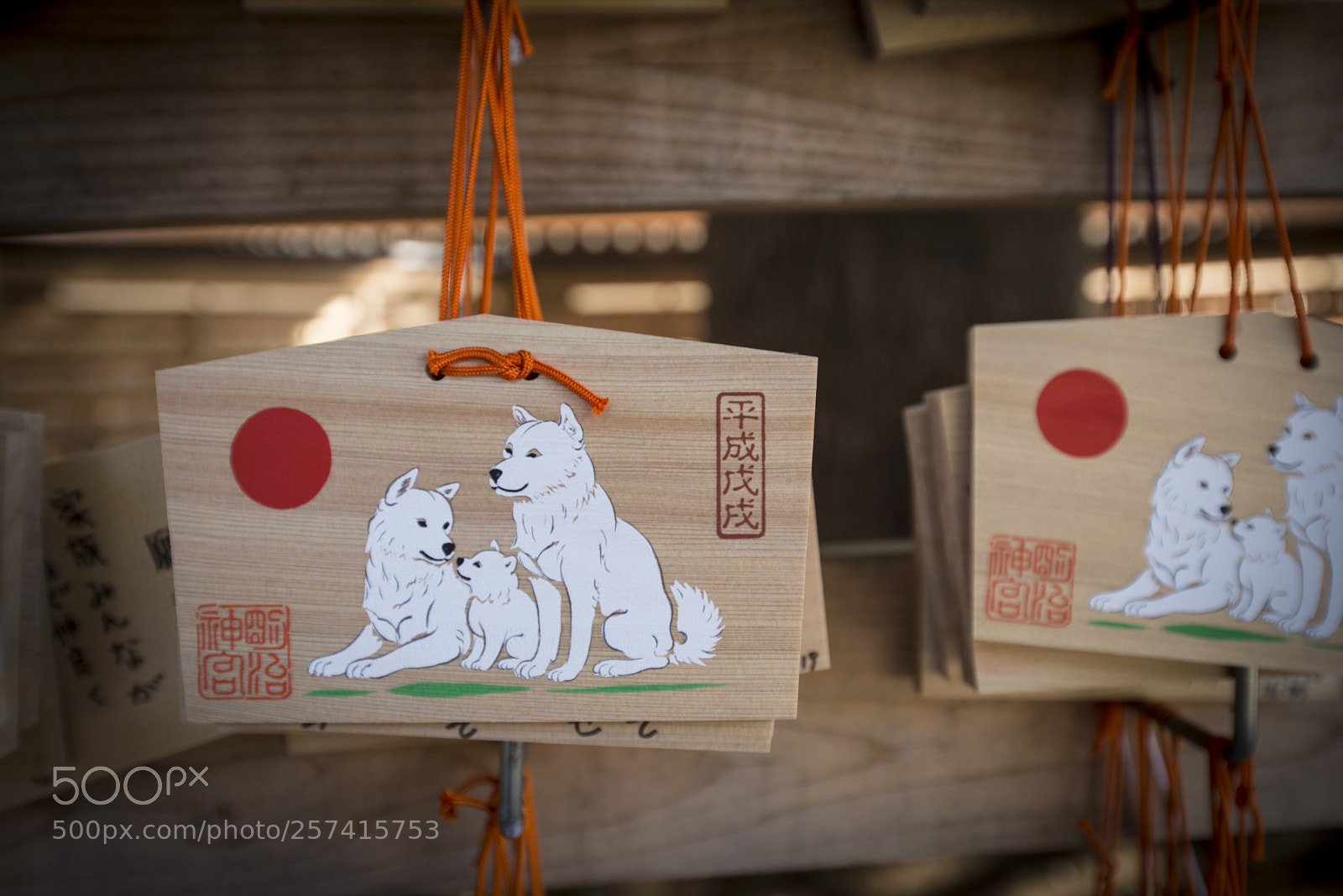 Nikon D610 sample photo. Year of the dog photography