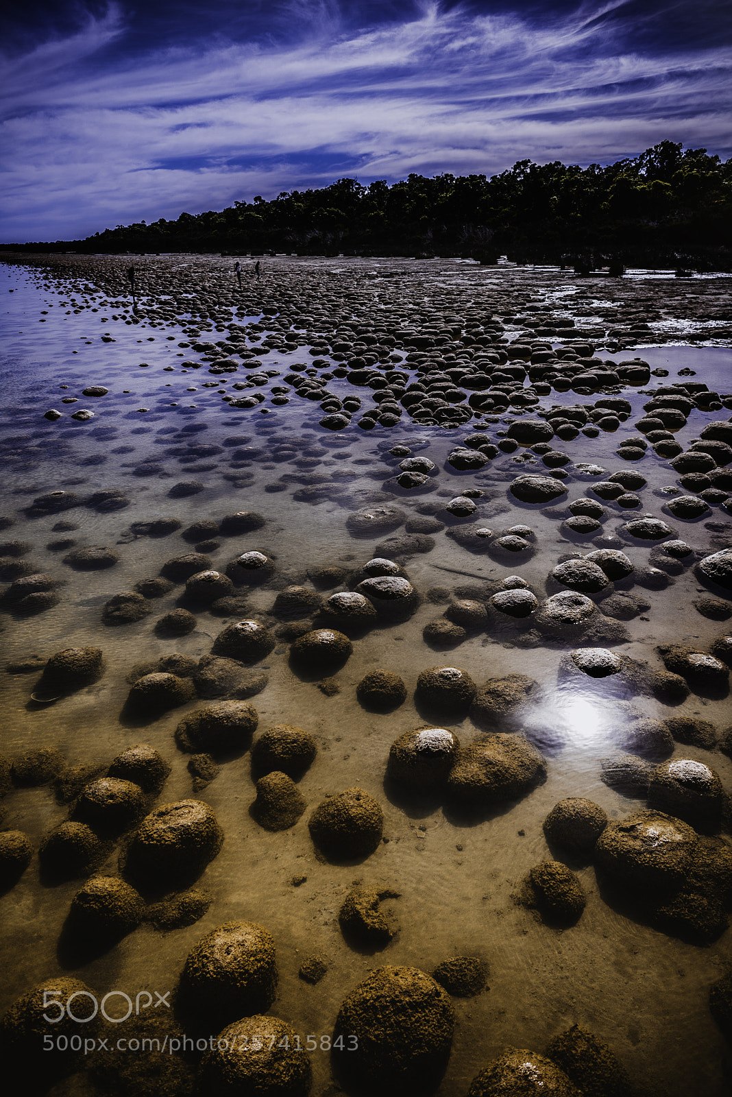 Nikon D610 sample photo. Serene photography