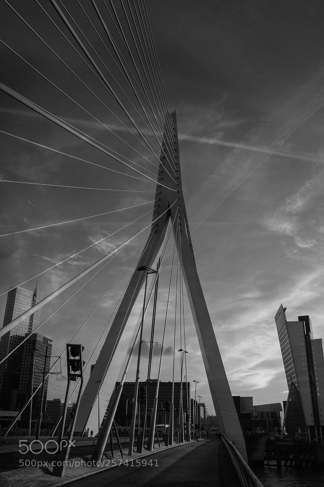 Canon EOS 550D (EOS Rebel T2i / EOS Kiss X4) sample photo. Roterdam erasmus bridge b photography