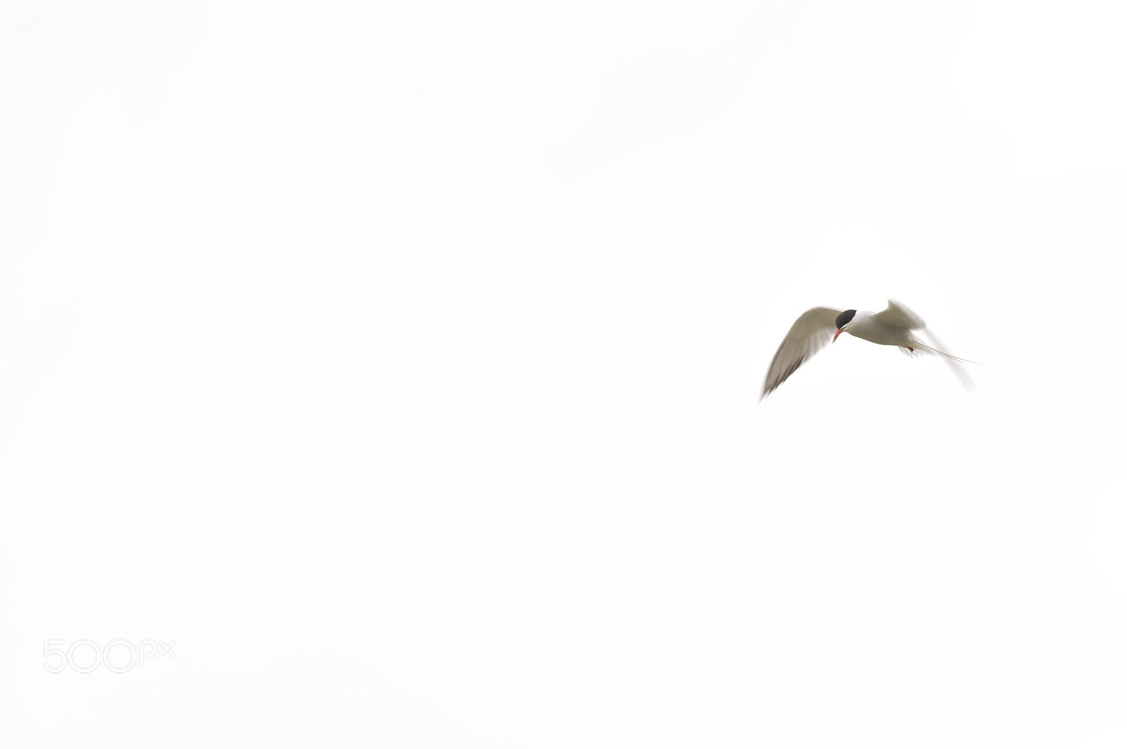 Nikon D800 sample photo. Untitled photography