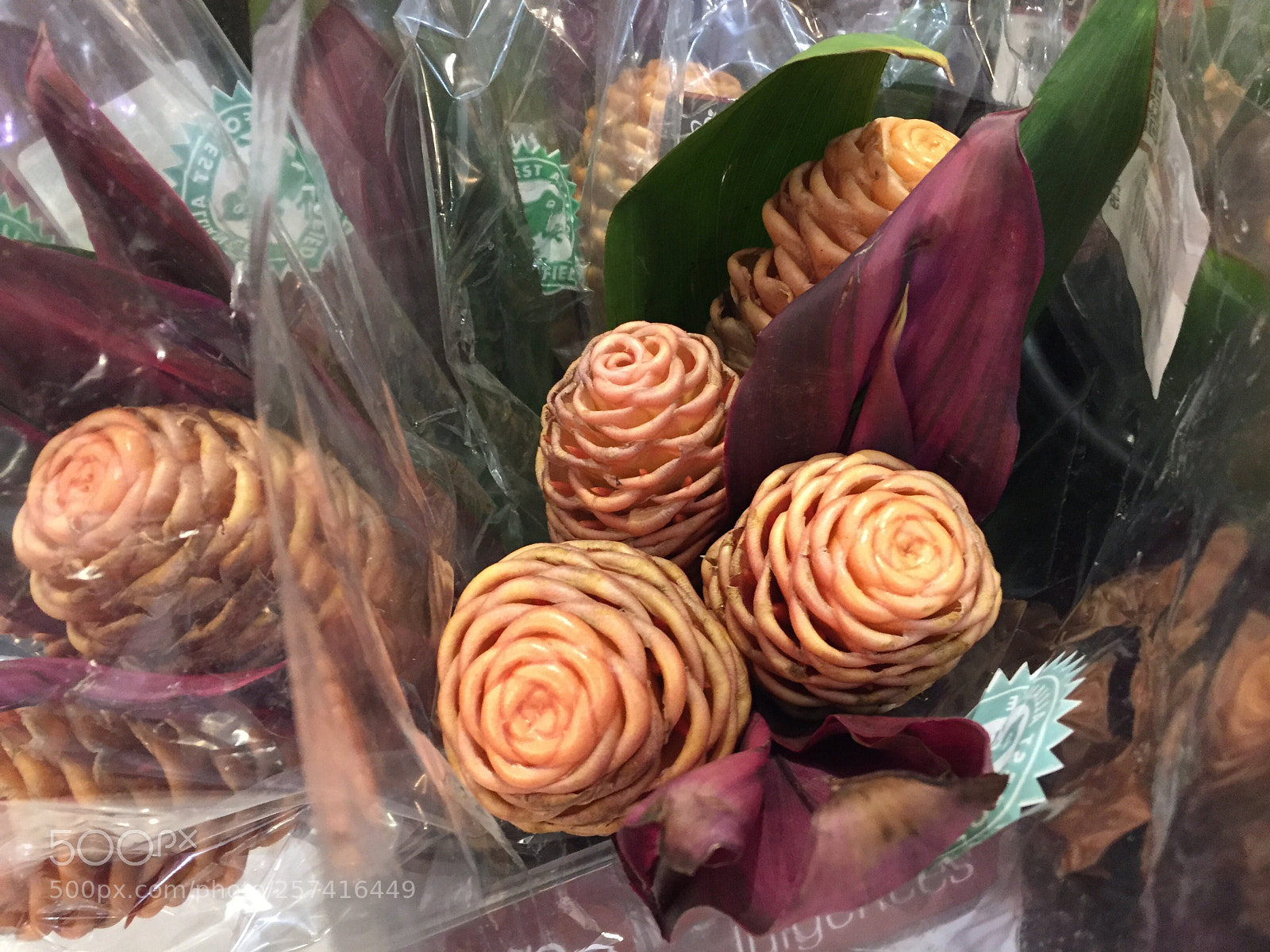 Apple iPhone 6 sample photo. Golden honeycomb flowers photography