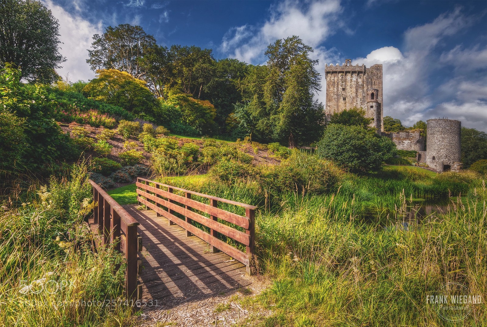 Canon EOS 80D sample photo. The old blarney castle photography