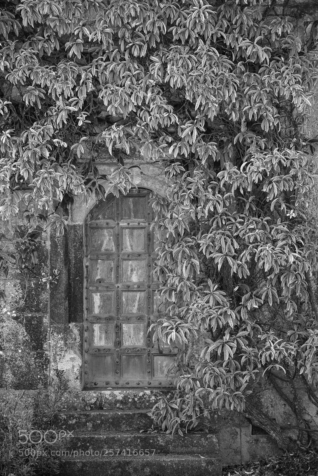 Nikon D800 sample photo. Beautiful vintage victorian mansion photography