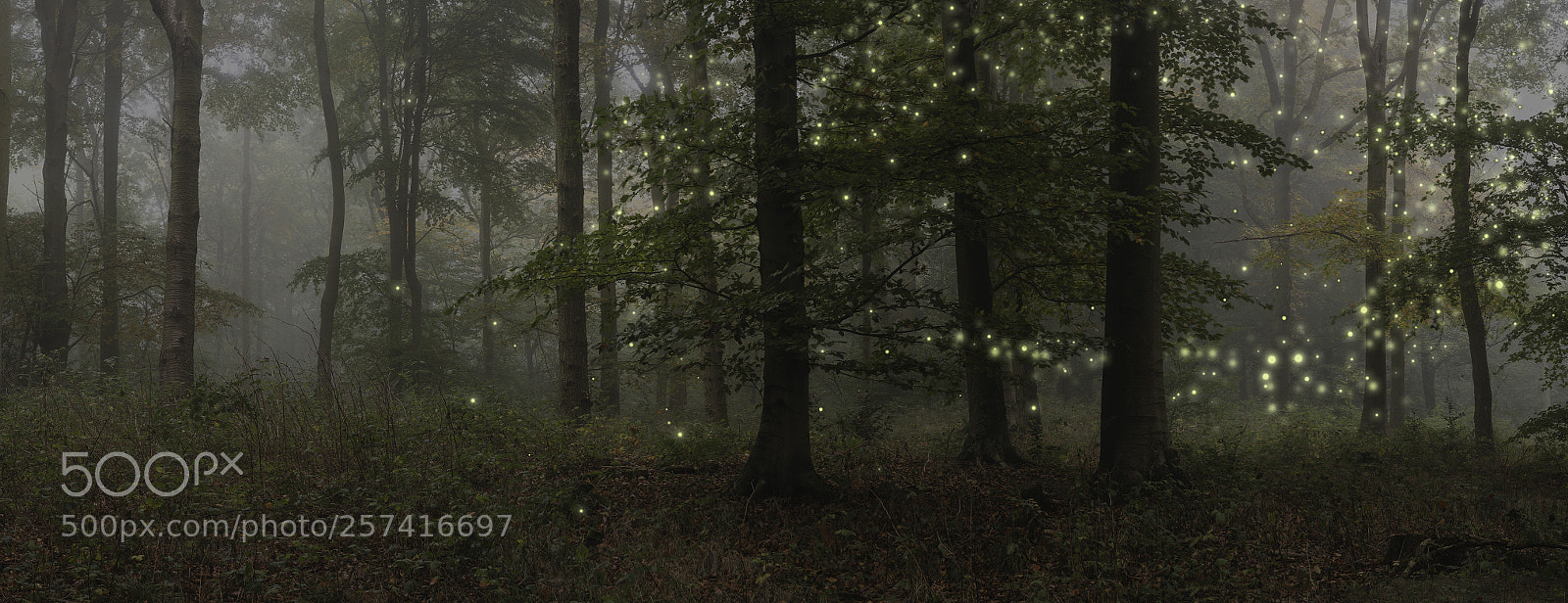 Nikon D800 sample photo. Stunning fantasy style landscape photography