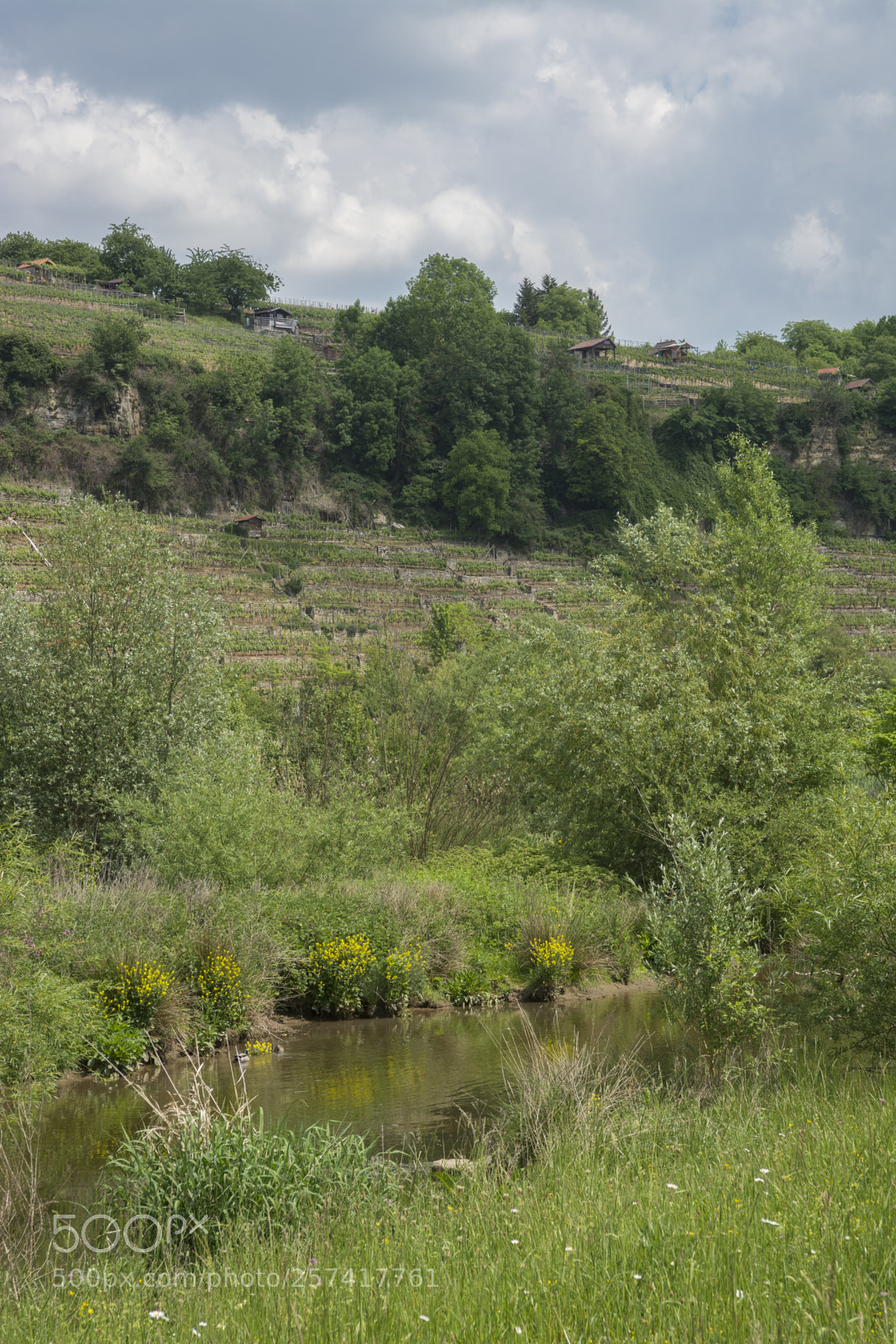 Nikon D7100 sample photo. Necneckar valley nearby poppenweiler photography