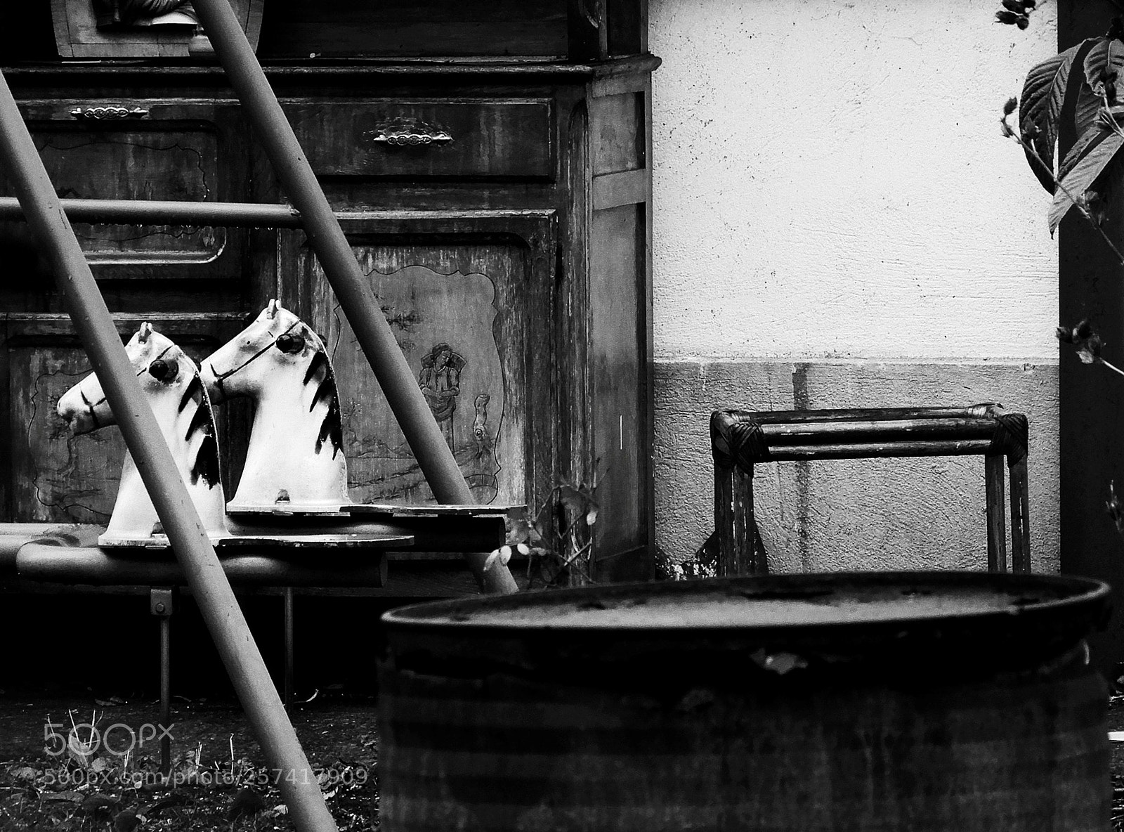 Nikon Coolpix A900 sample photo. Horse heads photography