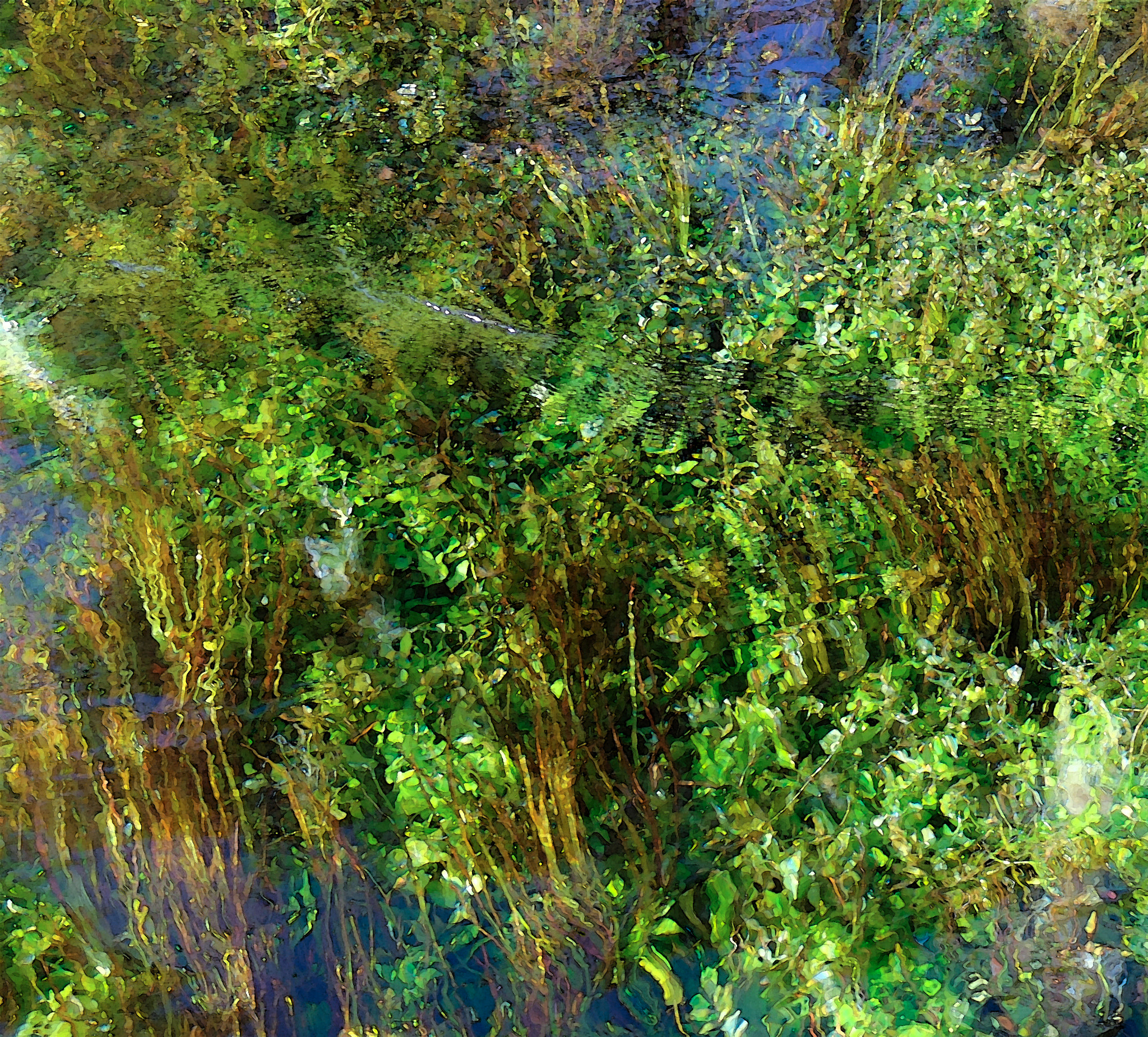 Fujifilm X20 sample photo. Underwater photography