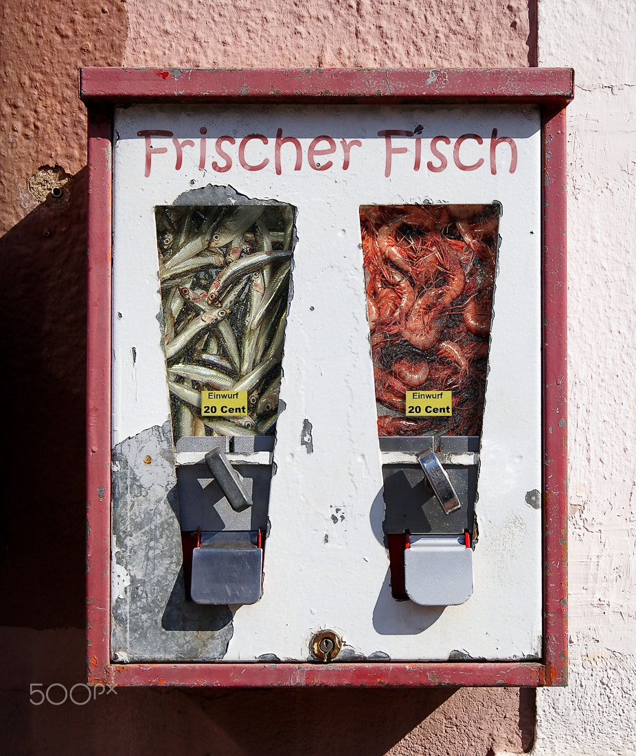 Sony Alpha DSLR-A500 sample photo. Frischer fisch - fresh fish photography