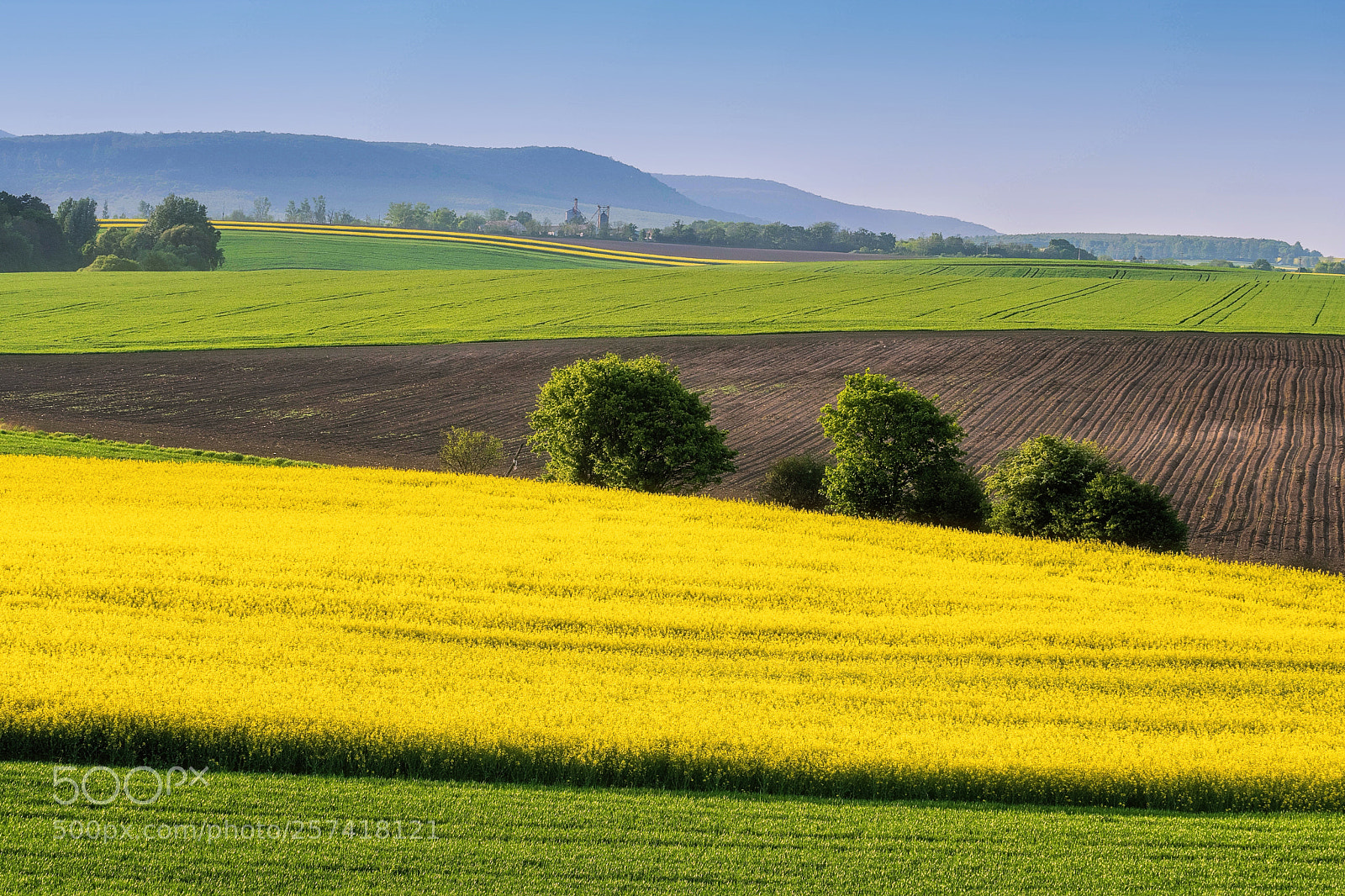 Nikon D500 sample photo. Spring layers photography