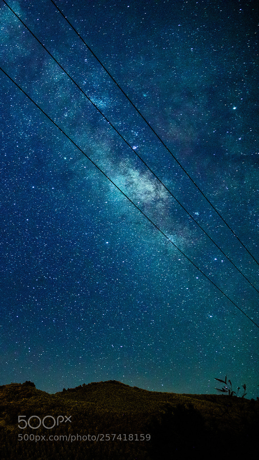 Sony a7R II sample photo. Dsc photography