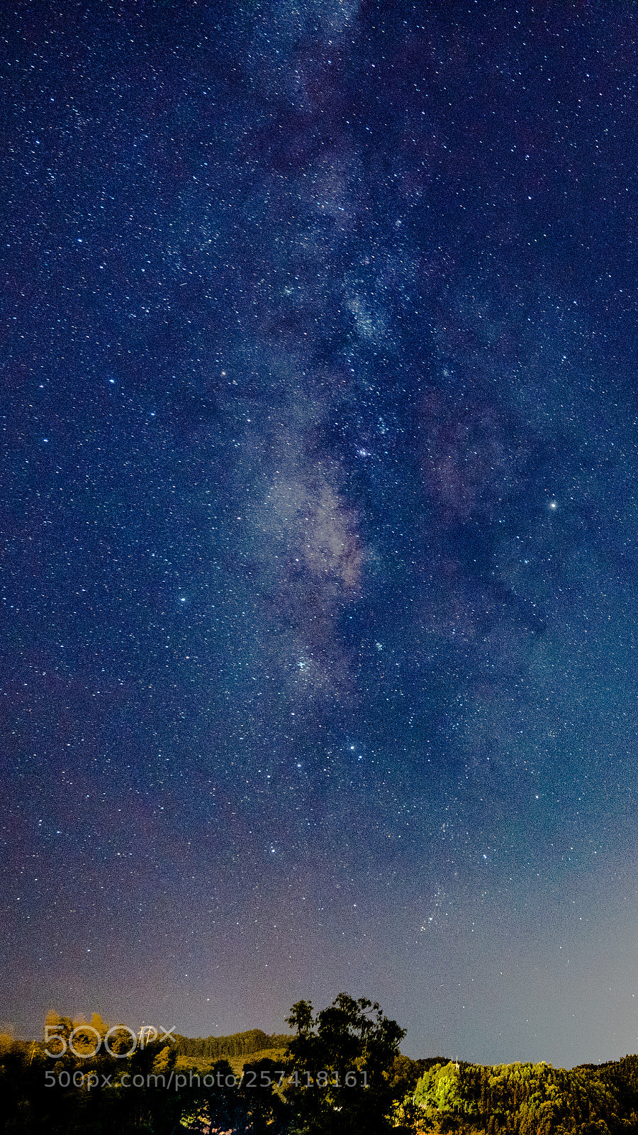 Sony a7R II sample photo. Dsc photography