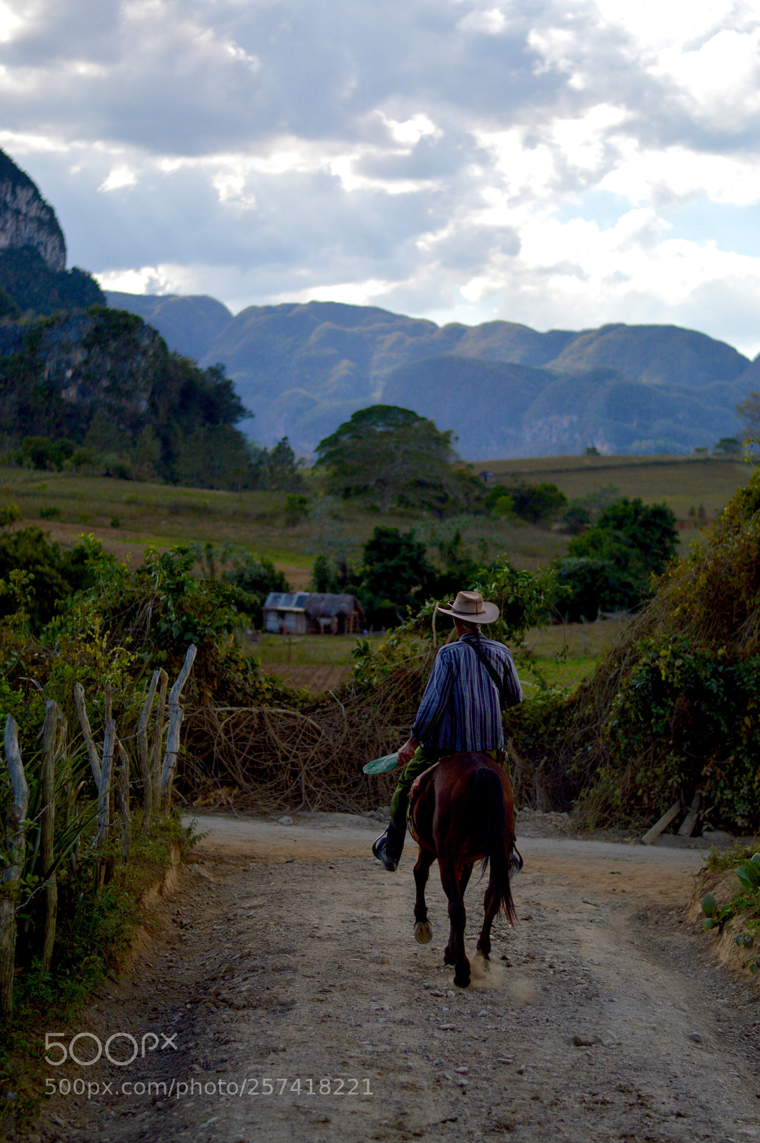 Nikon D3200 sample photo. Cowboy. photography