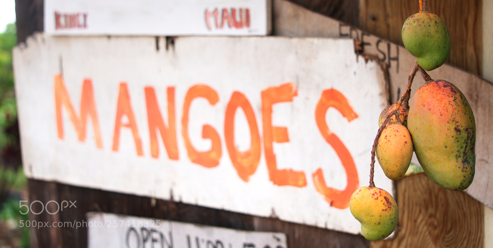 Sony a6300 sample photo. Mangoes photography