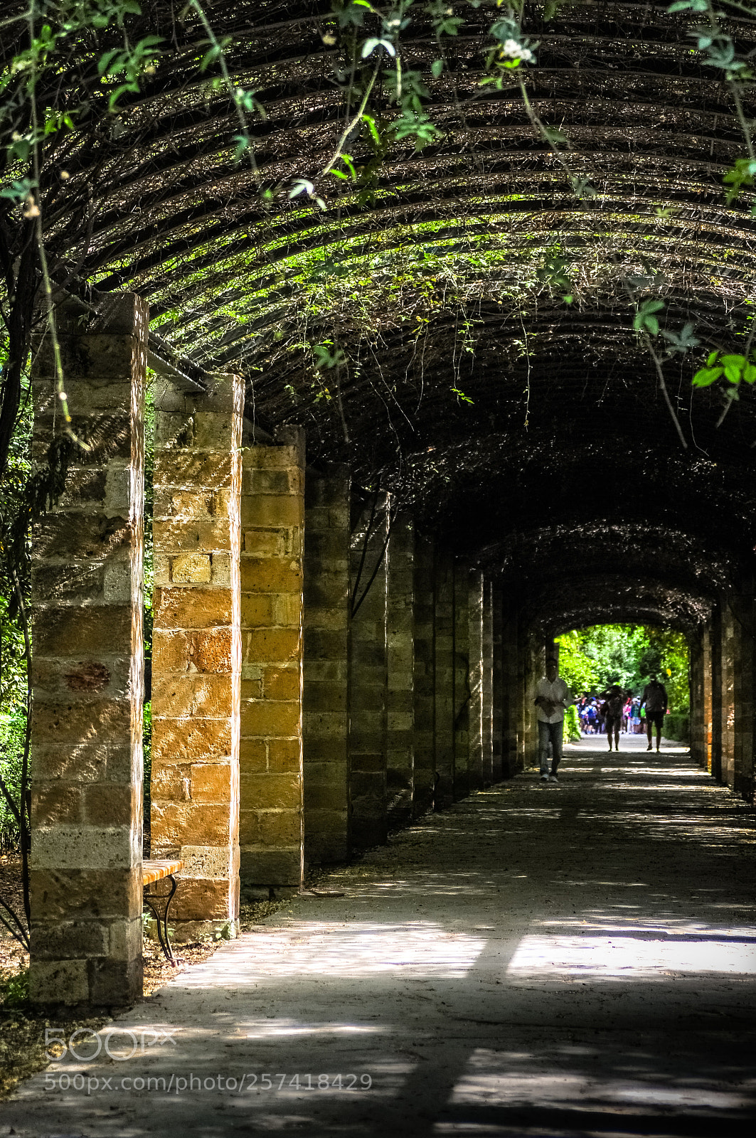 Nikon D300 sample photo. Athens national garden photography