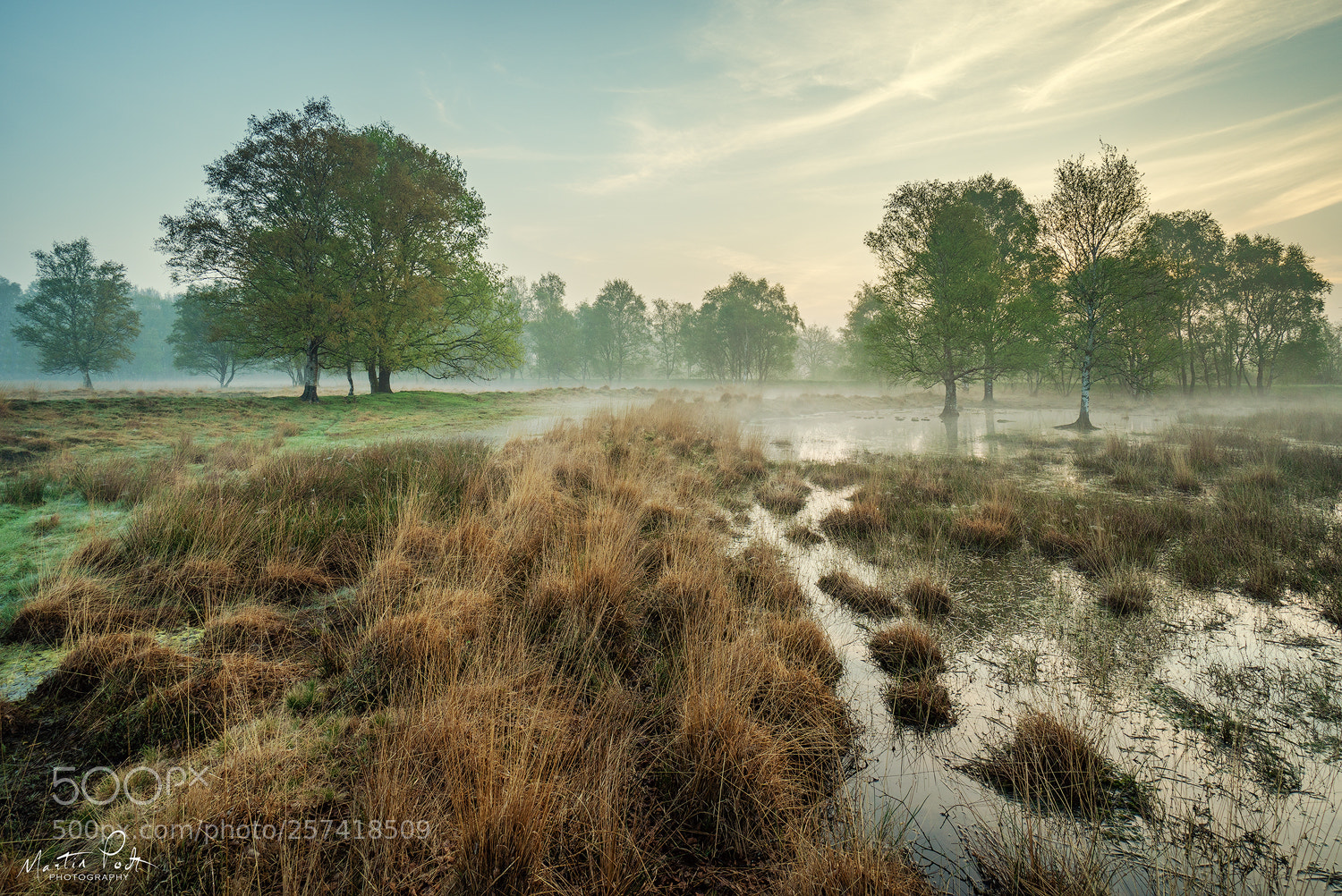 Sony a6500 sample photo. Wet sunrise photography