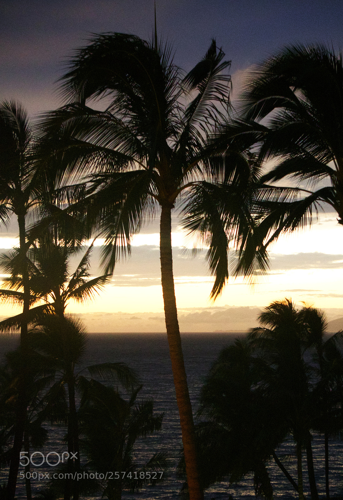 Sony a6300 sample photo. Wailea beach resort #2 photography