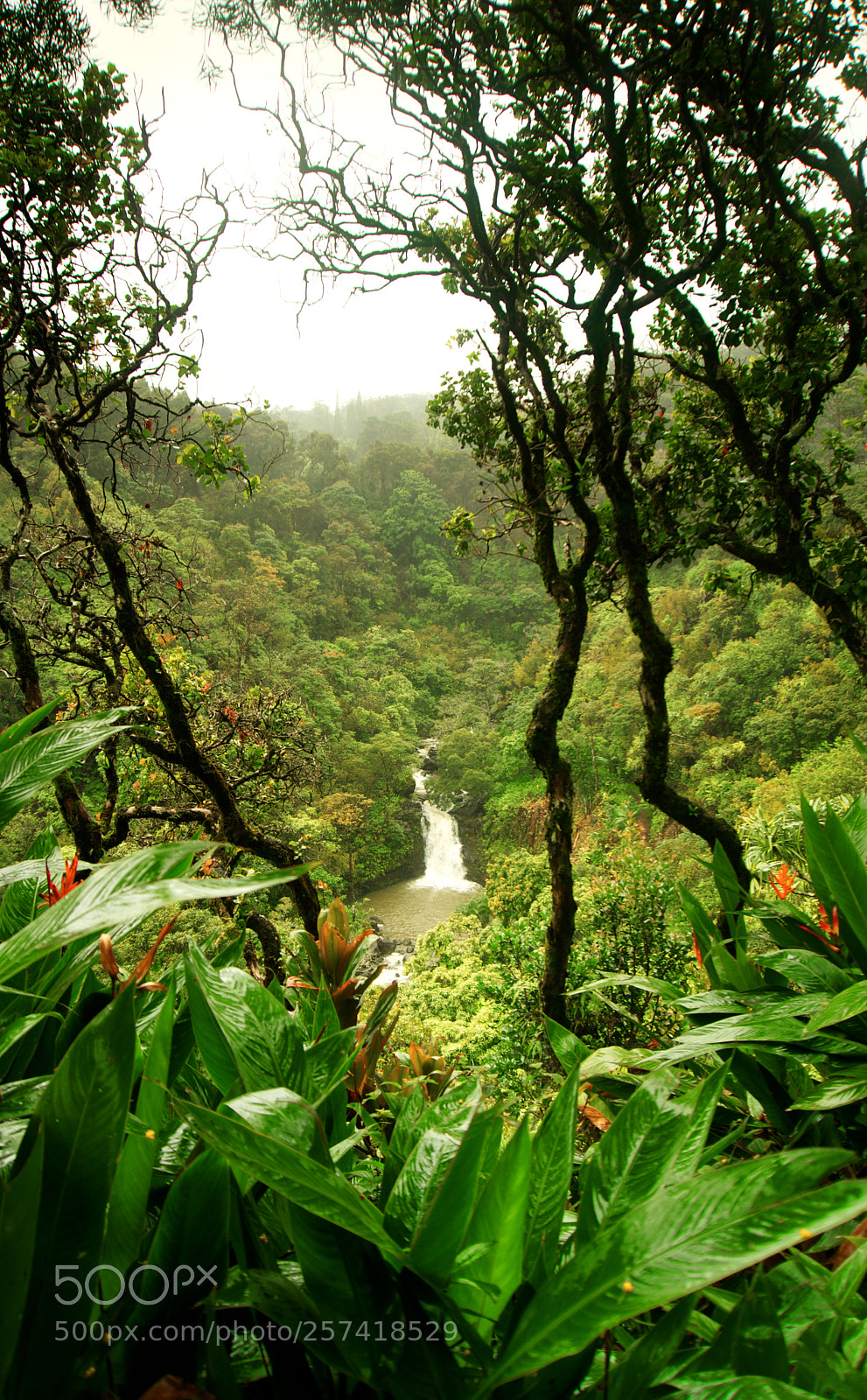 Sony a6300 sample photo. Puohokamoa falls #1 photography