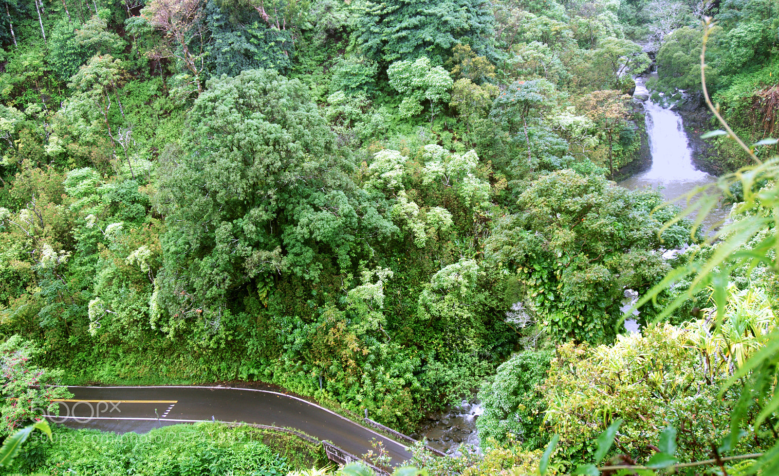 Sony a6300 sample photo. Puohokamoa falls #2 photography