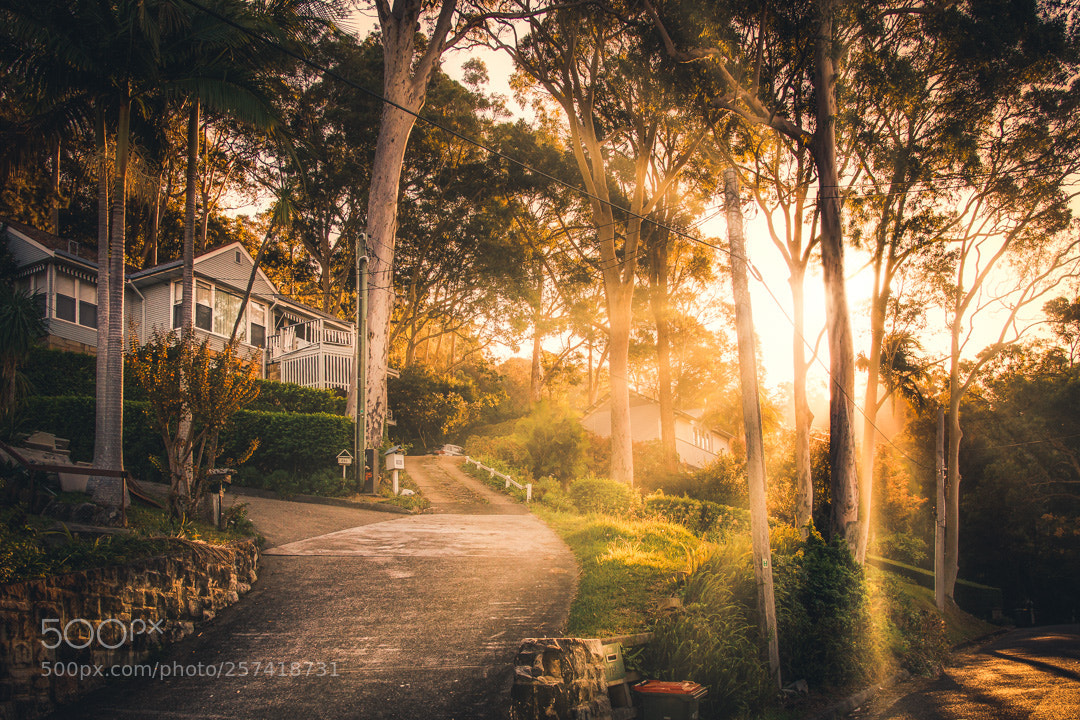Canon EOS 70D sample photo. Sun setting in church photography