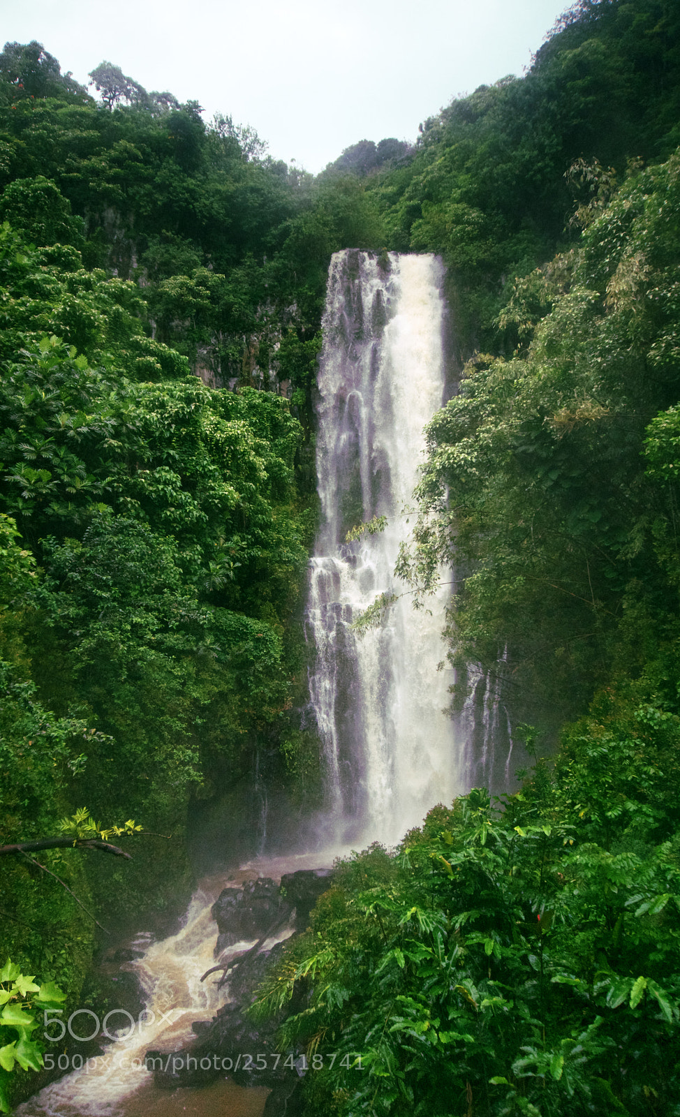 Sony a6300 sample photo. Road to hana #2 photography