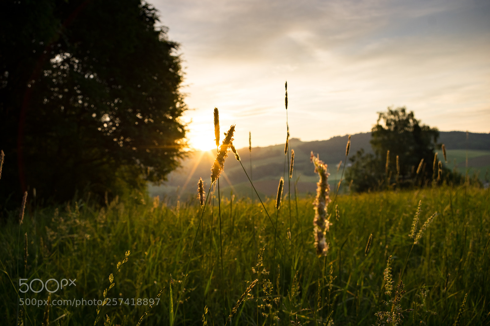 Pentax K-3 II sample photo. Golden hour photography