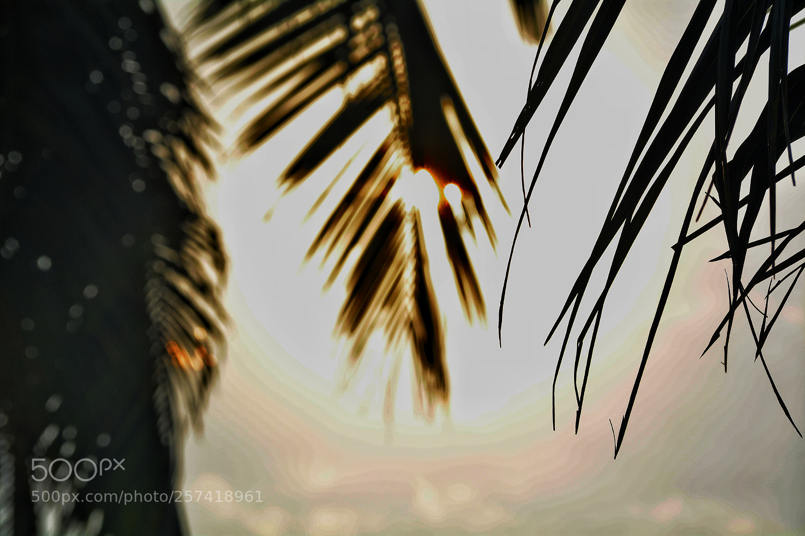Nikon D5200 sample photo. Untitled photography