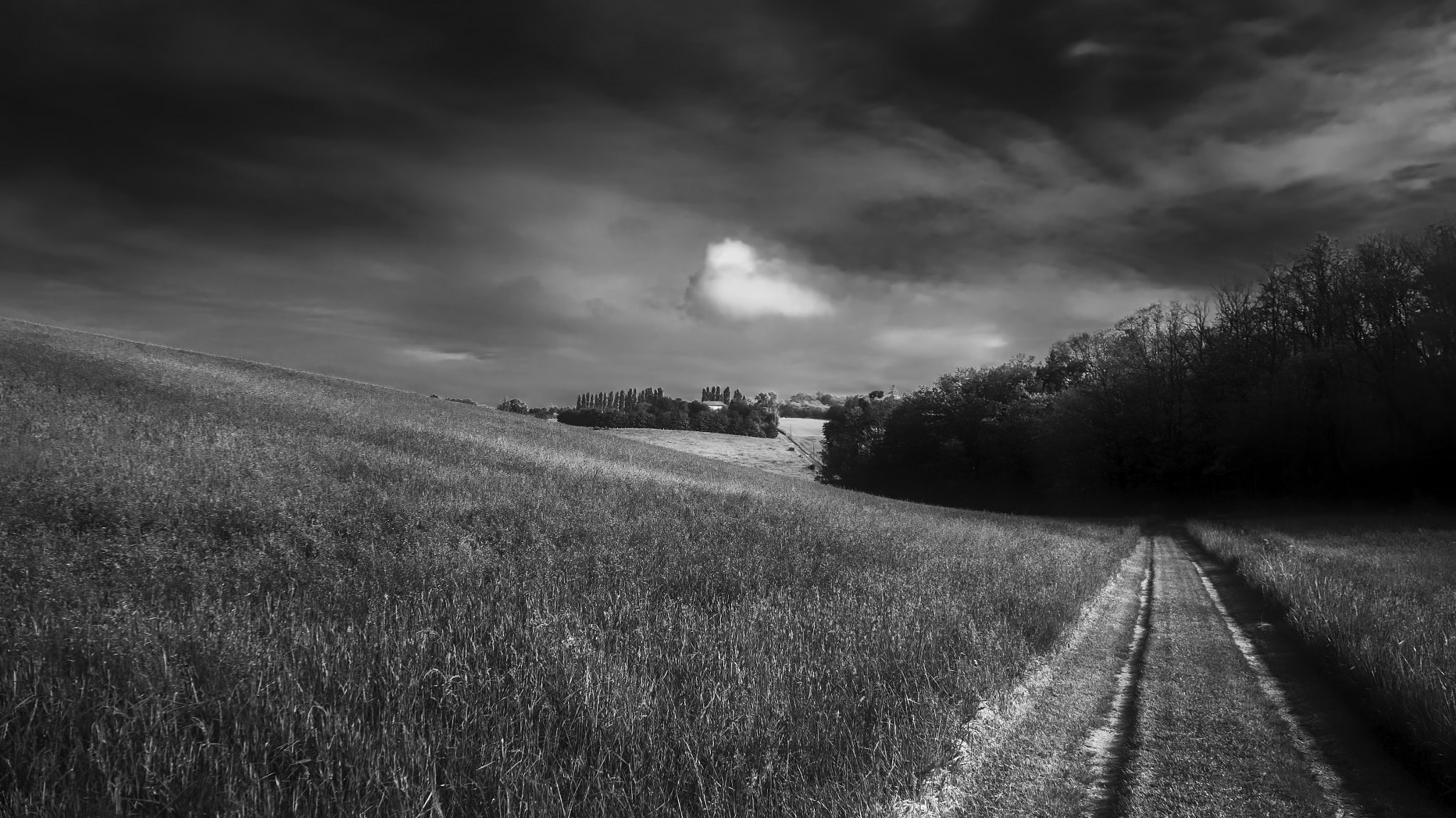 Sony Alpha NEX-5R sample photo. Road home 2 mono photography