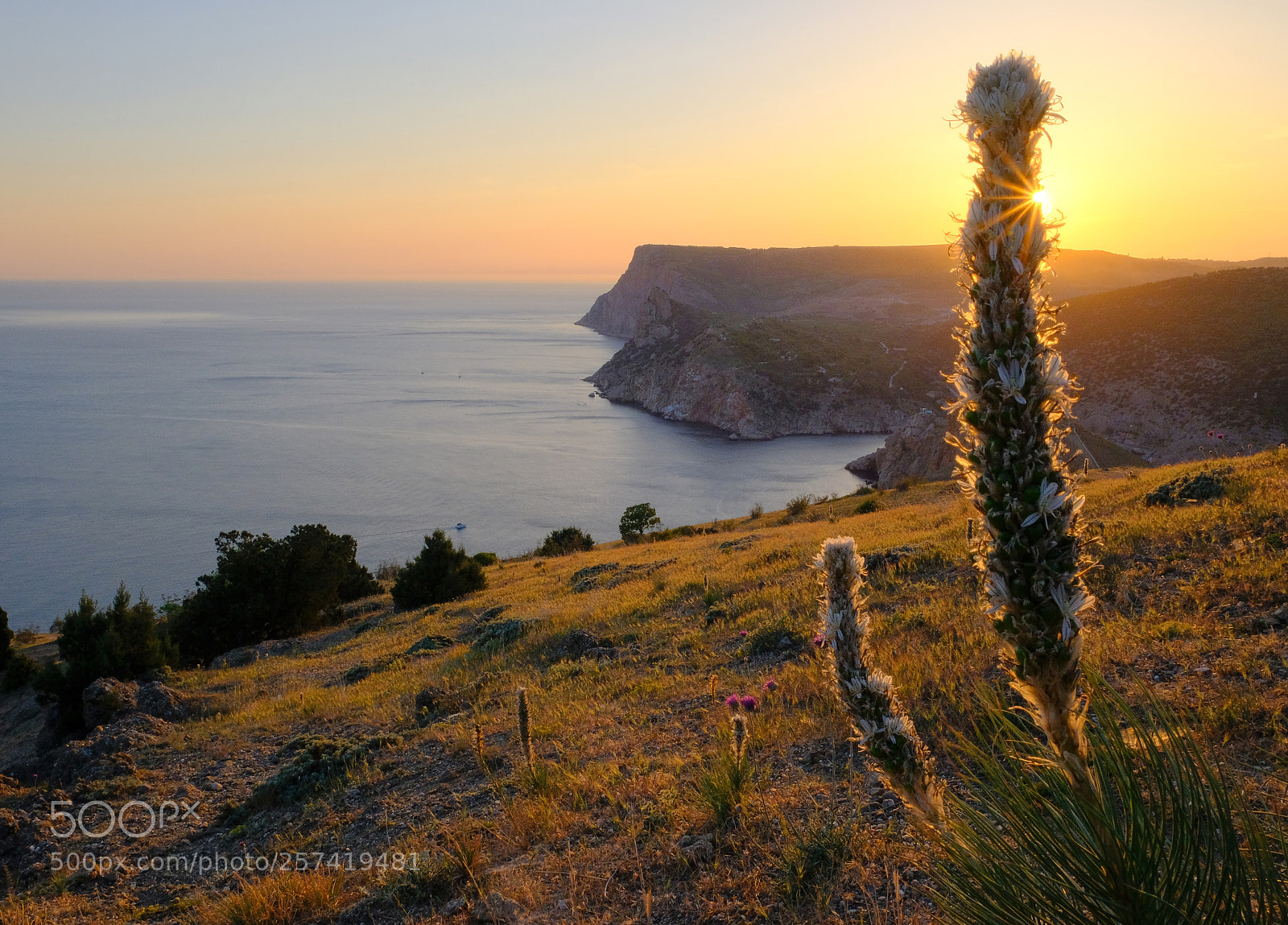 Fujifilm X-T20 sample photo. Sunset gold photography